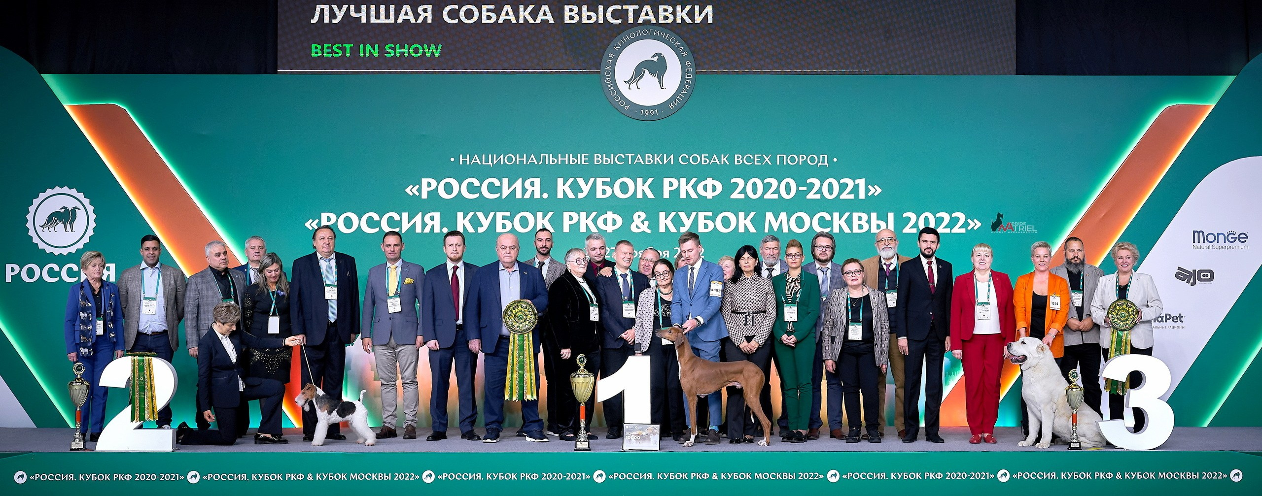 Групповая съемка на выставках собак