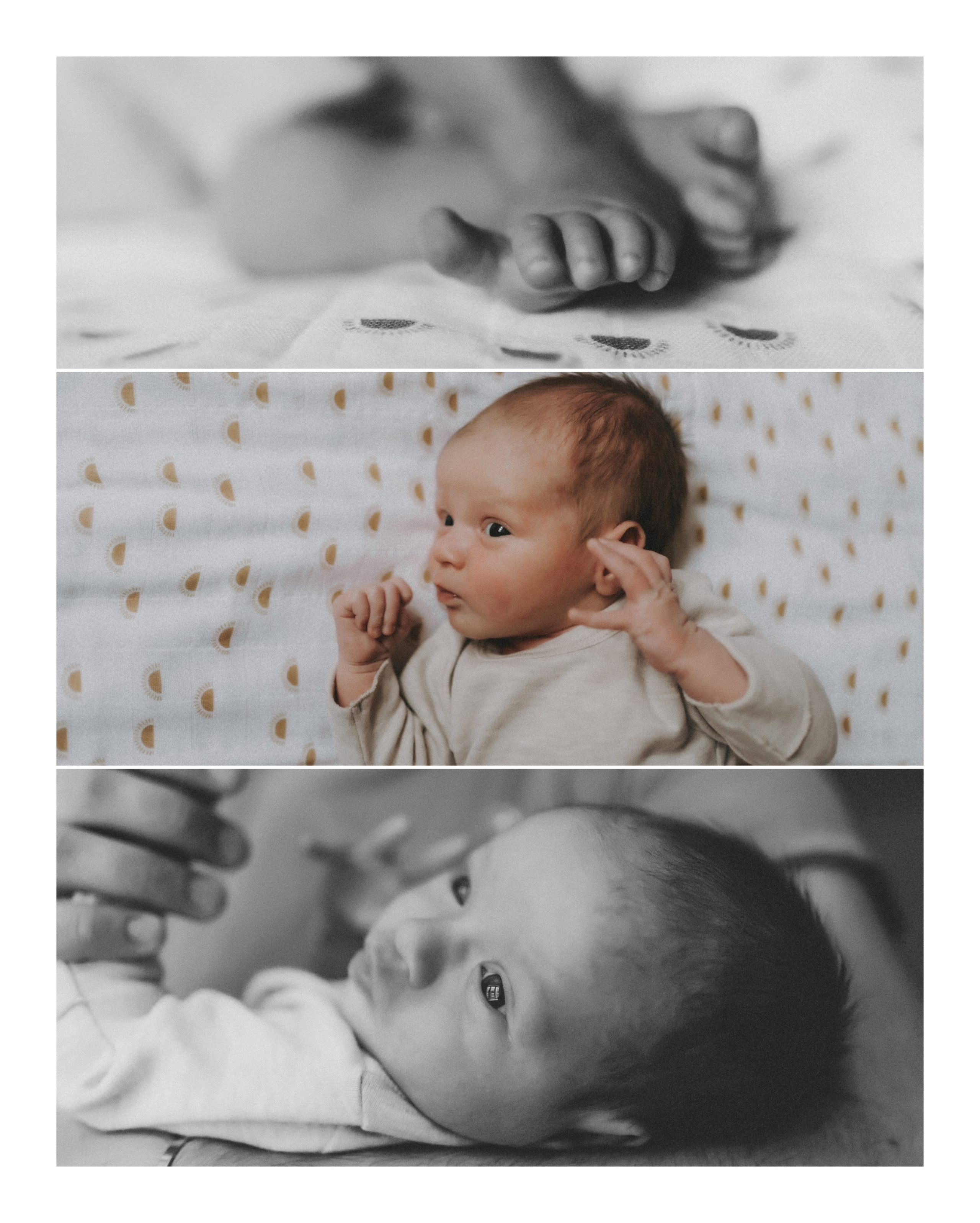 Фотограф в Горячем Ключе Анна Дамер