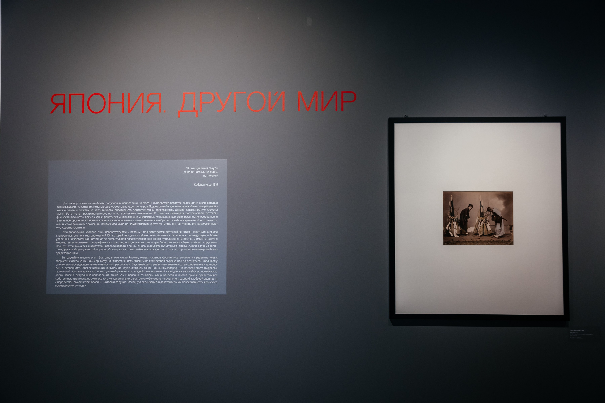 ЯПОНИЯ. ДРУГОЙ МИР. Фотограф в Красноярске Оксана Корчагина