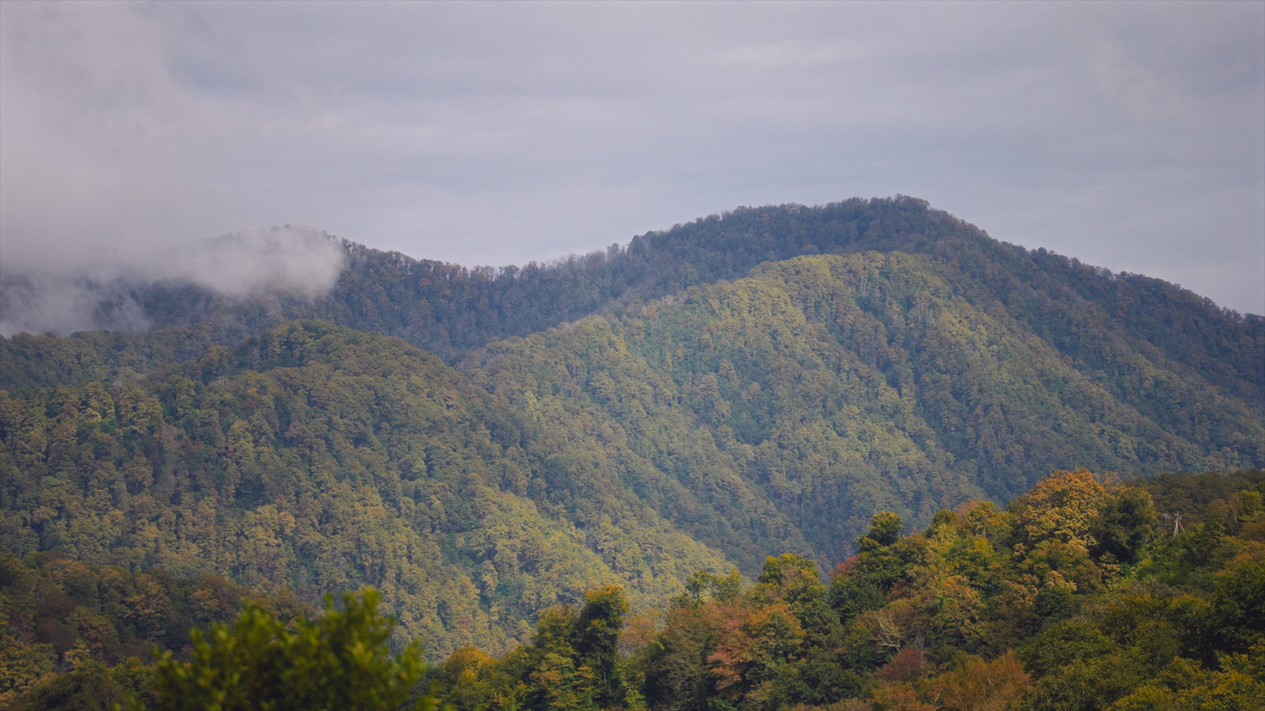 Екатерина и Егор. Агата Акварель видеограф Сочи Краснодар