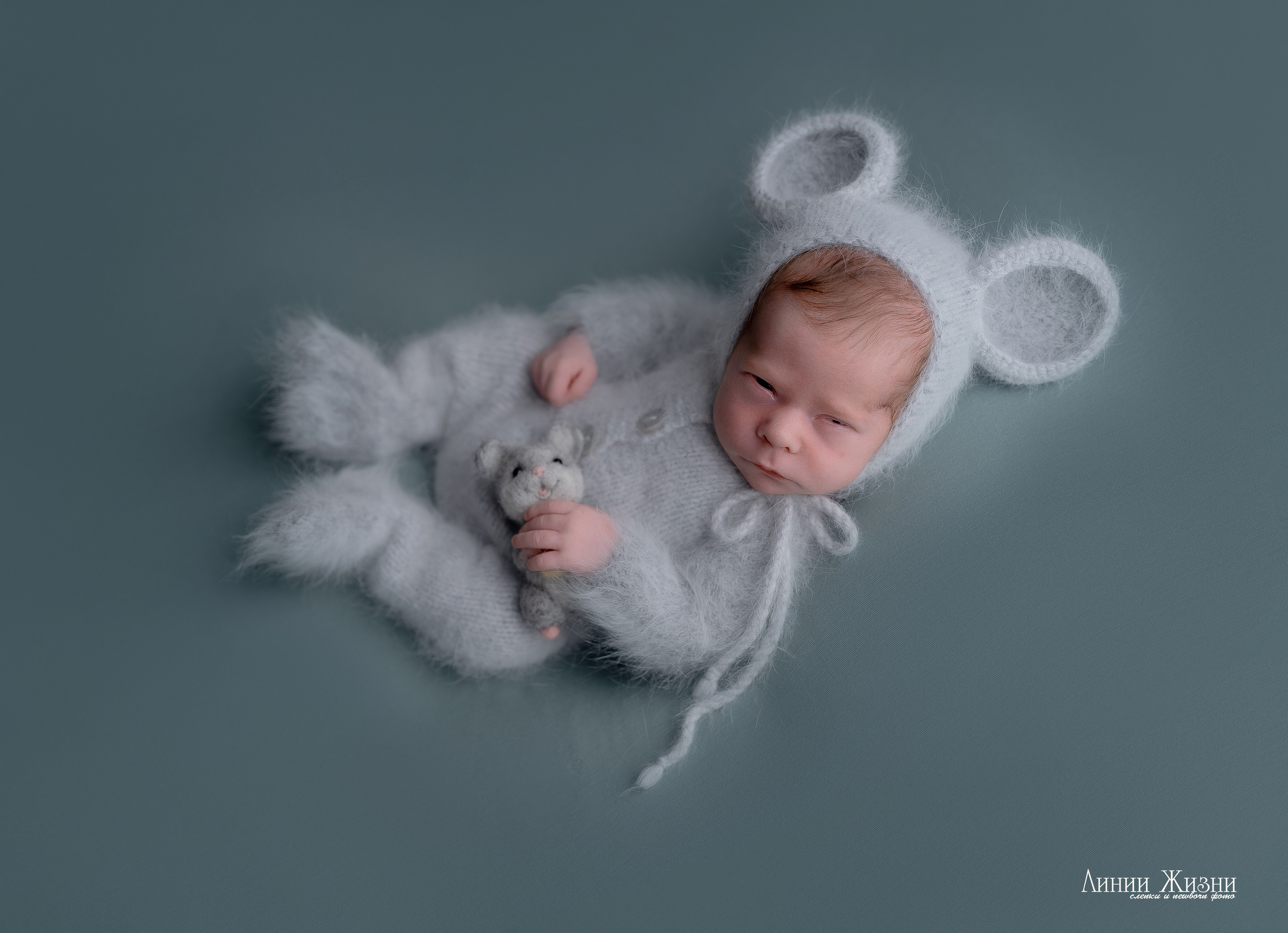Гордей 21 день. Фотограф новорожденных в Нижнем Новгороде Сергеева Оксана