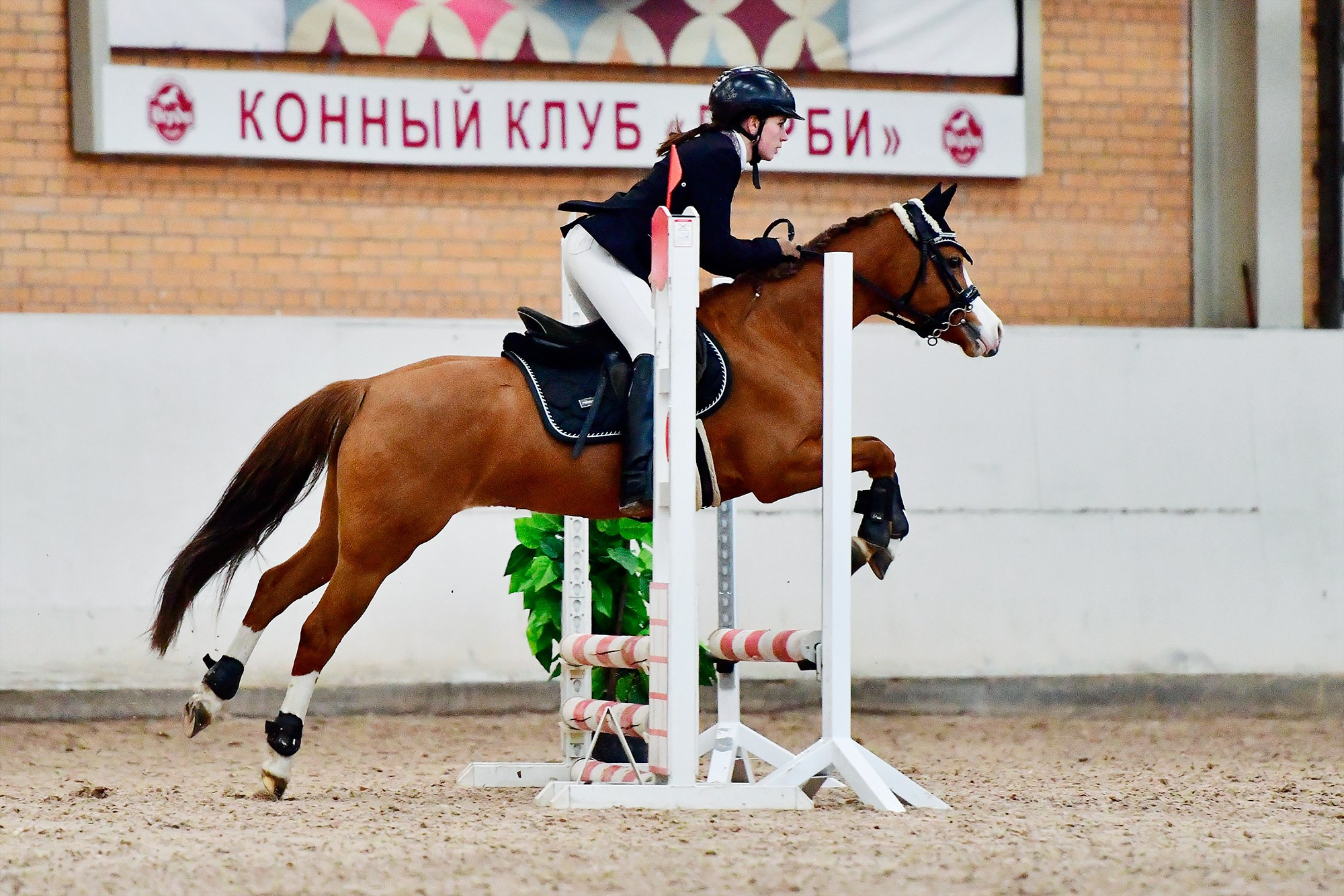 Конкур: кск «Дерби» 18 — 19.10.2025