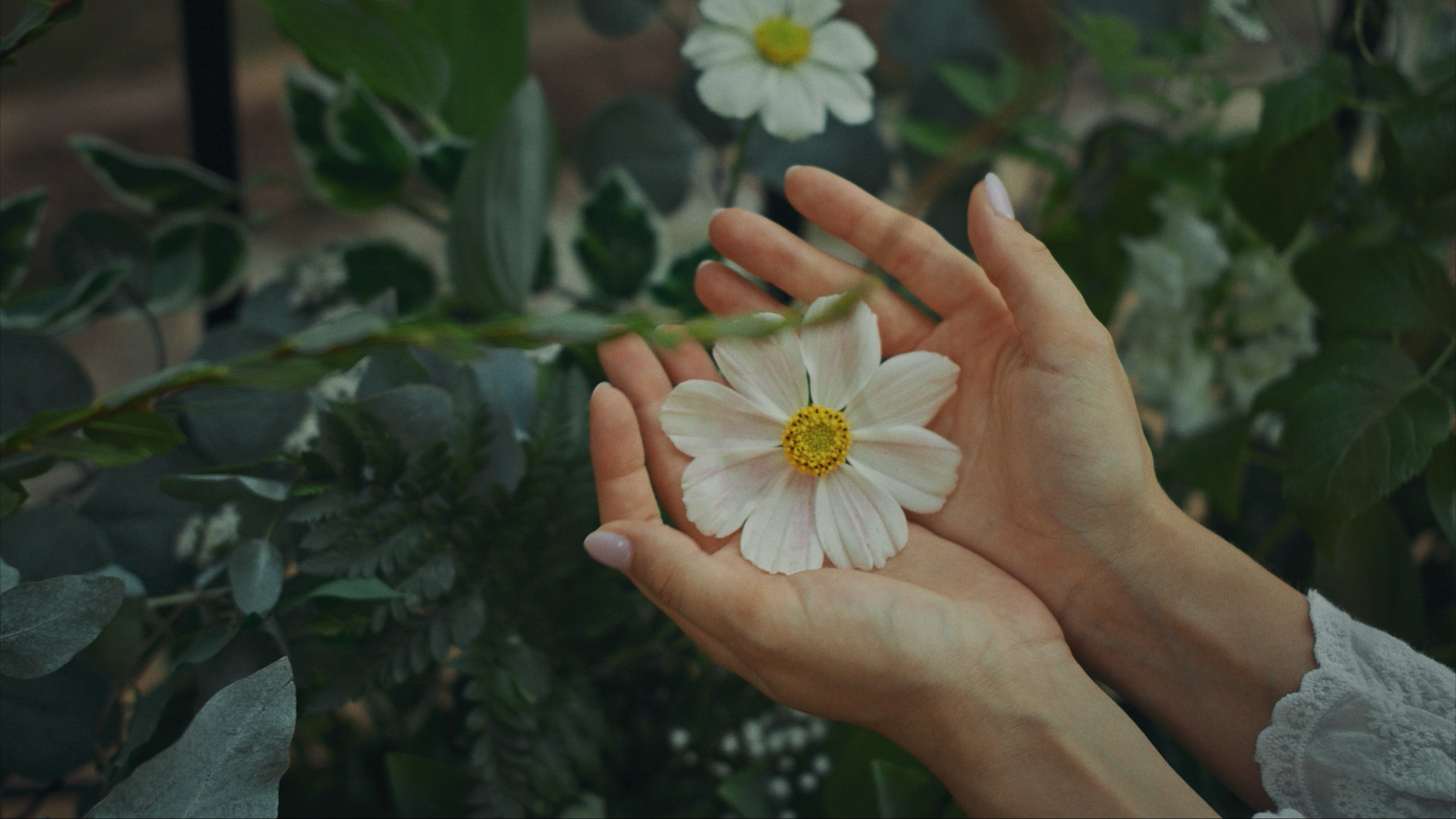 Видеограф в Красноярске Тимофей Петров