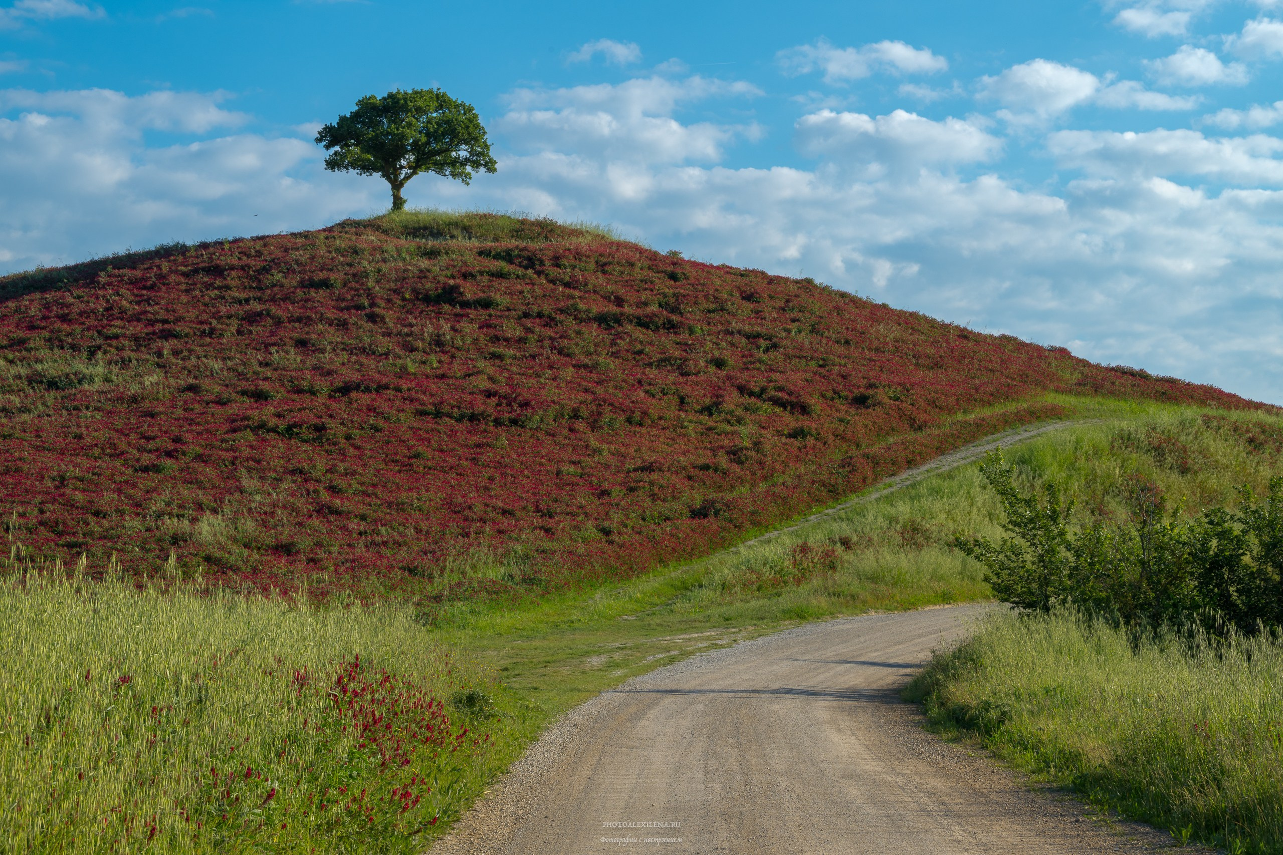 Долина Крете Сенези (Crete Senesi). Авторские стильные фотокартины