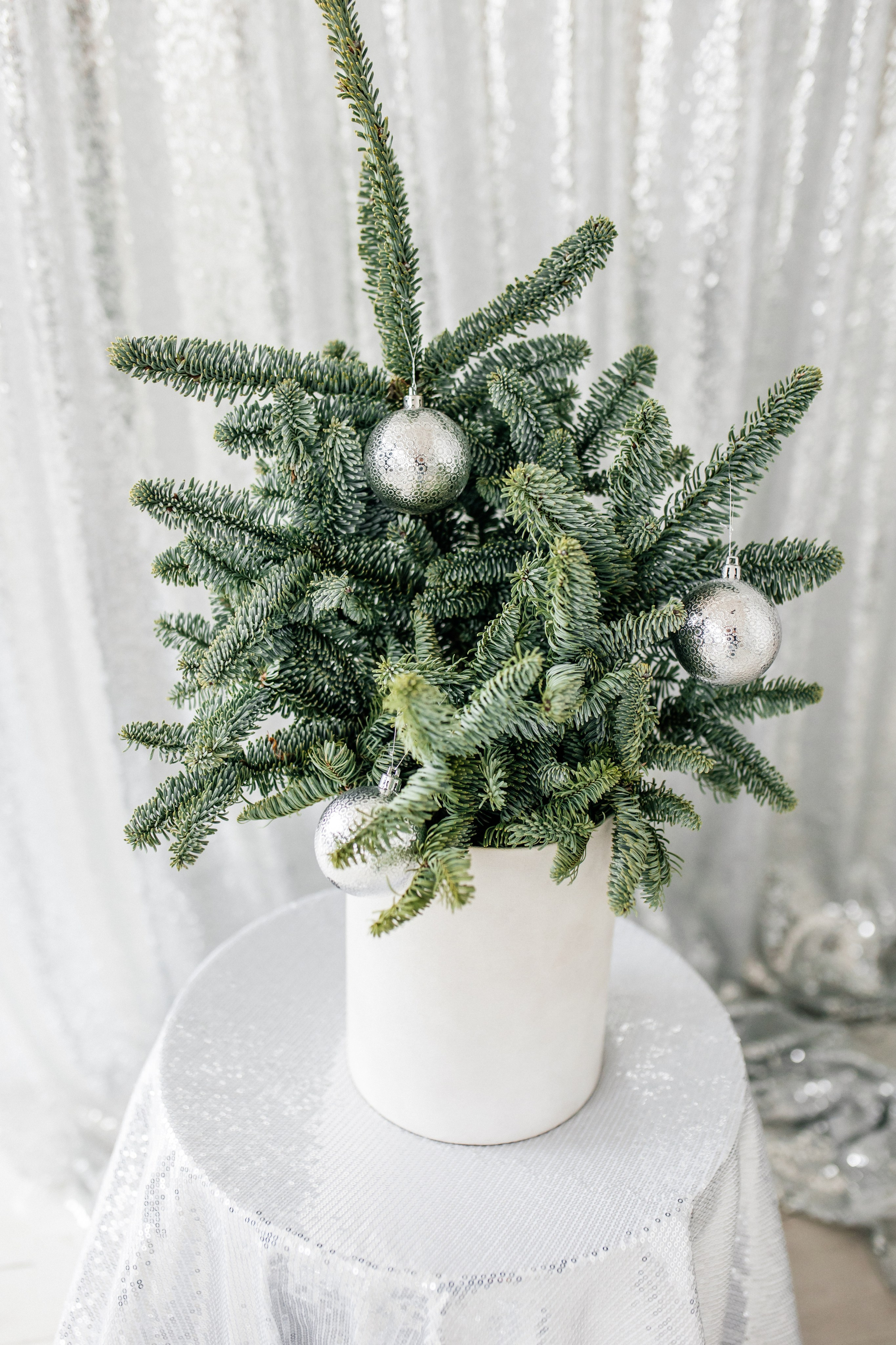 ETO Studio — фотостудия в Минске. Понравилась студия? Напишите — организую съёмку именно здесь. Фотограф в Минске Людмила Дутко