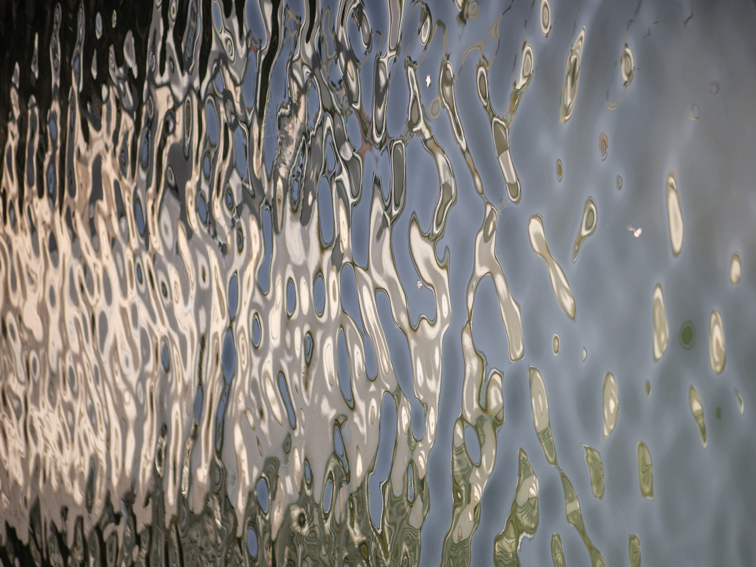 Улицы Люди на улицах Природа Животные — фотограф Оля Волчкова