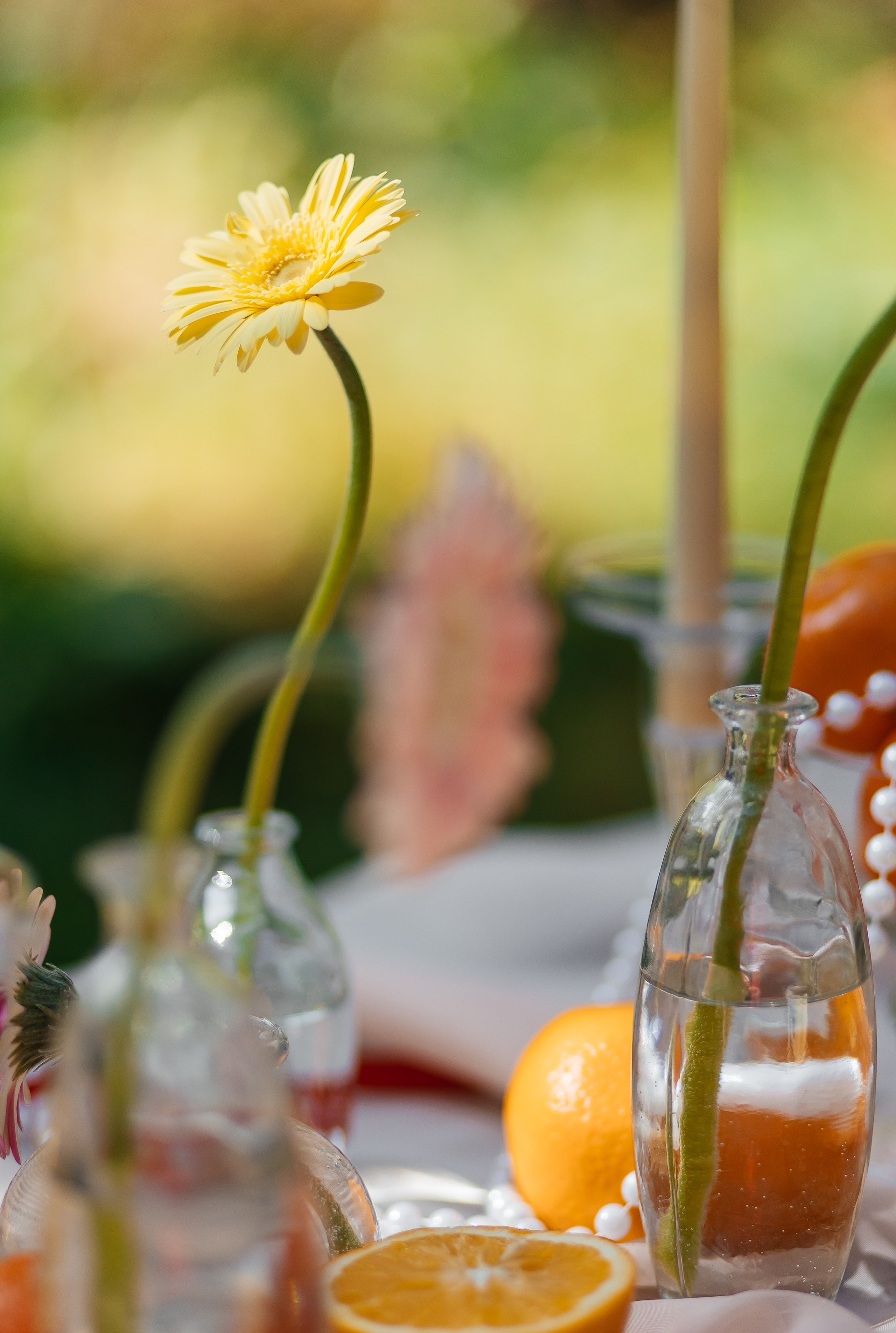 Егор и Юля. Организатор мероприятий в Абакане I Ольга Петухова