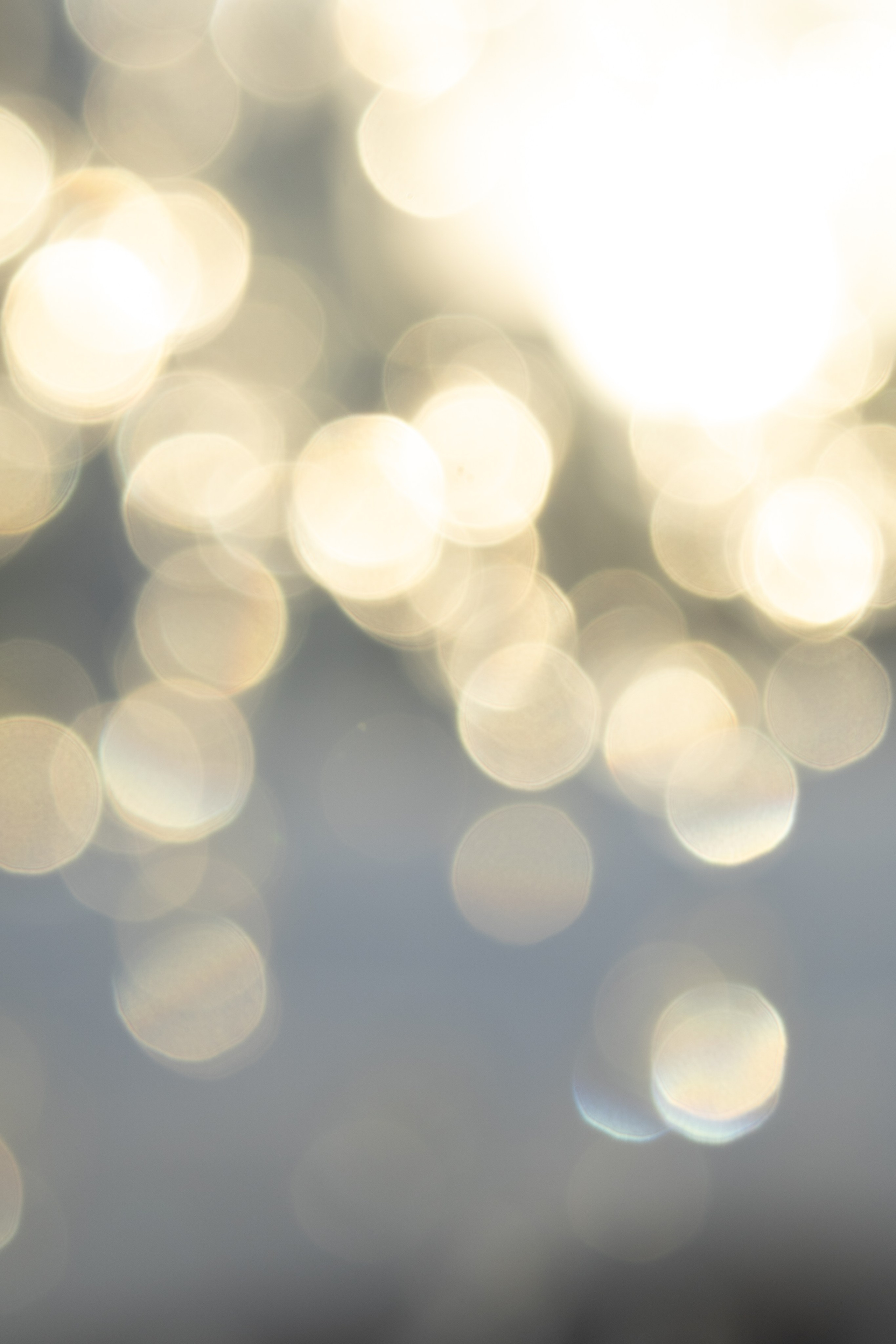 Портретный фотограф в Южно-Сахалинске Каминская Юлия