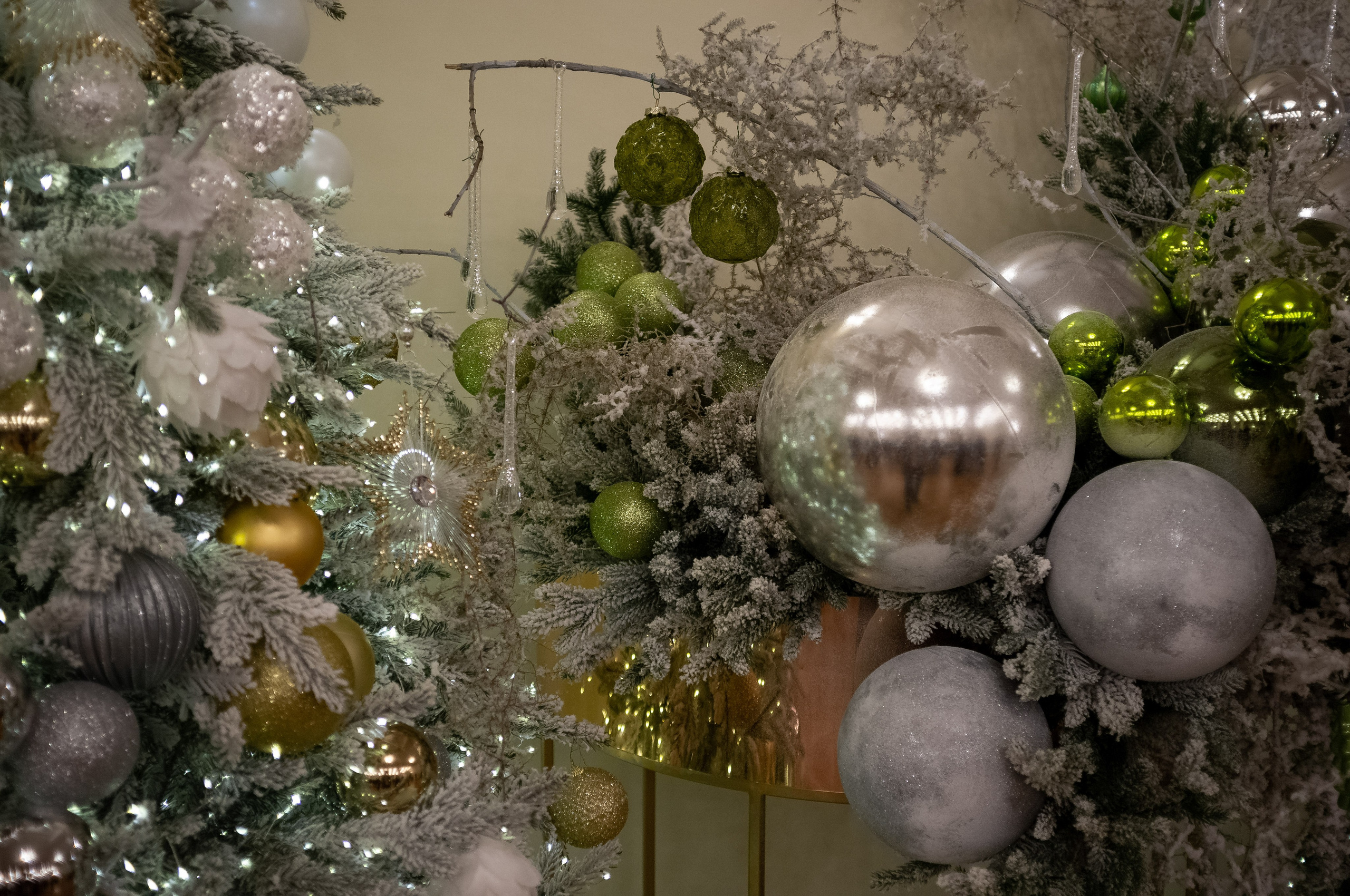 Новогодний вечер. Итальянка в Алжире. Искусство фотографии. Мария Осокина