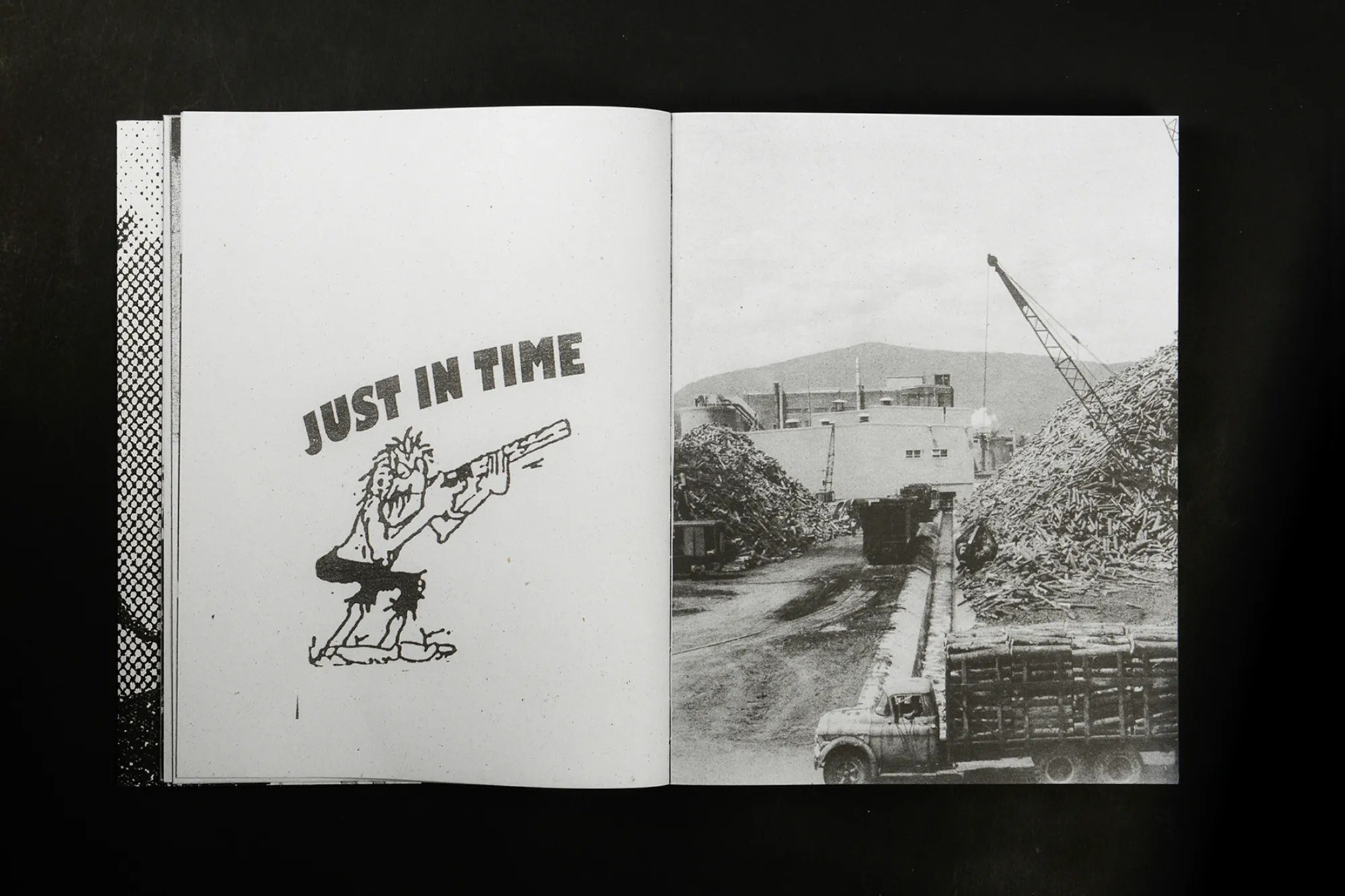 ПОПУЛЯРНЫЕ ОШИБКИ ПРИ СОЗДАНИИ ФОТОКНИГИ: Часть вторая — про содержание и нарратив. Самоорганизация Низина