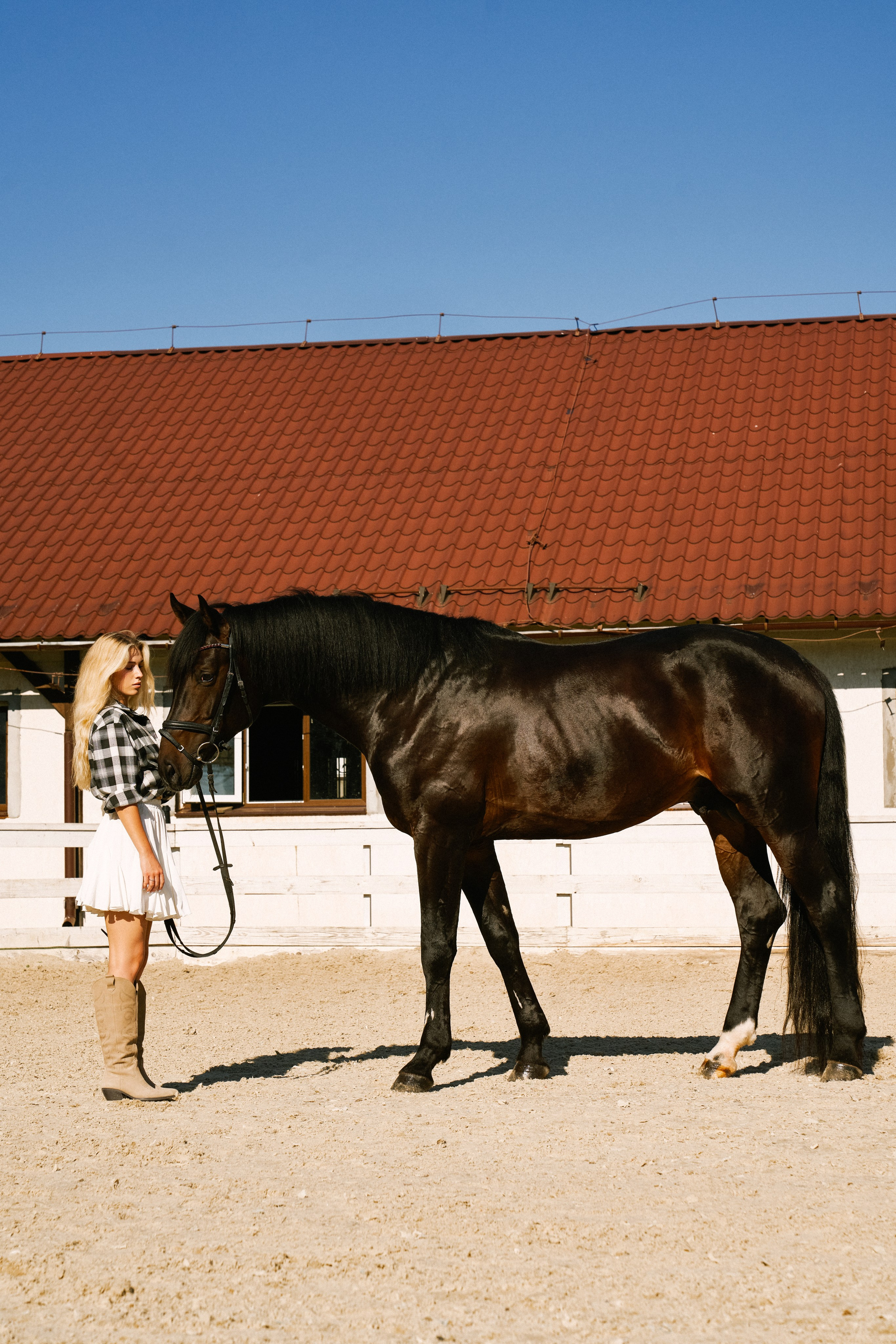 Конные съемки. Фотограф Москва Кристина Джоанна