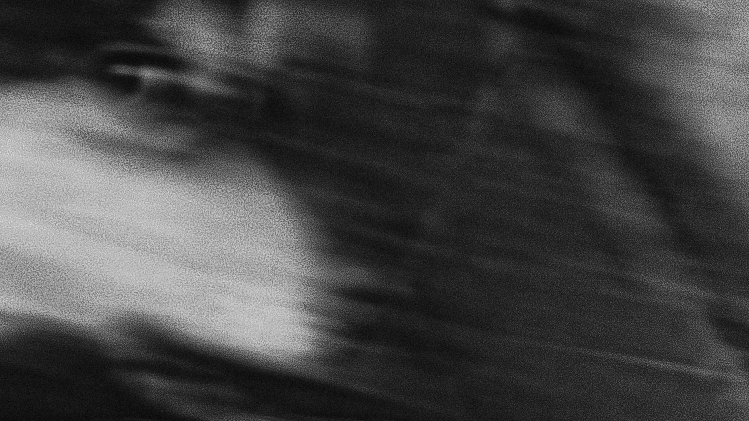Собаки. Wordlessly