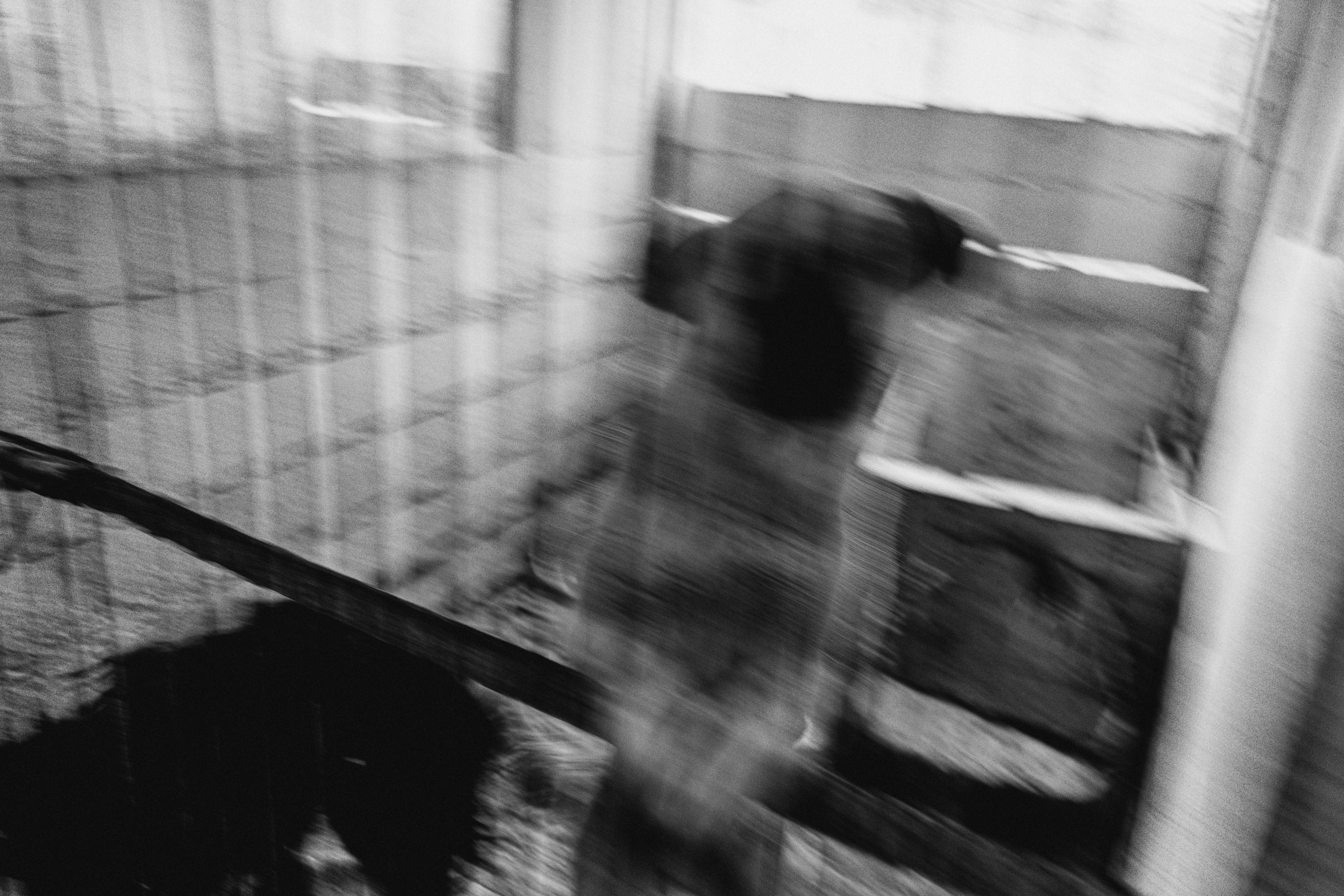 Собаки. Wordlessly
