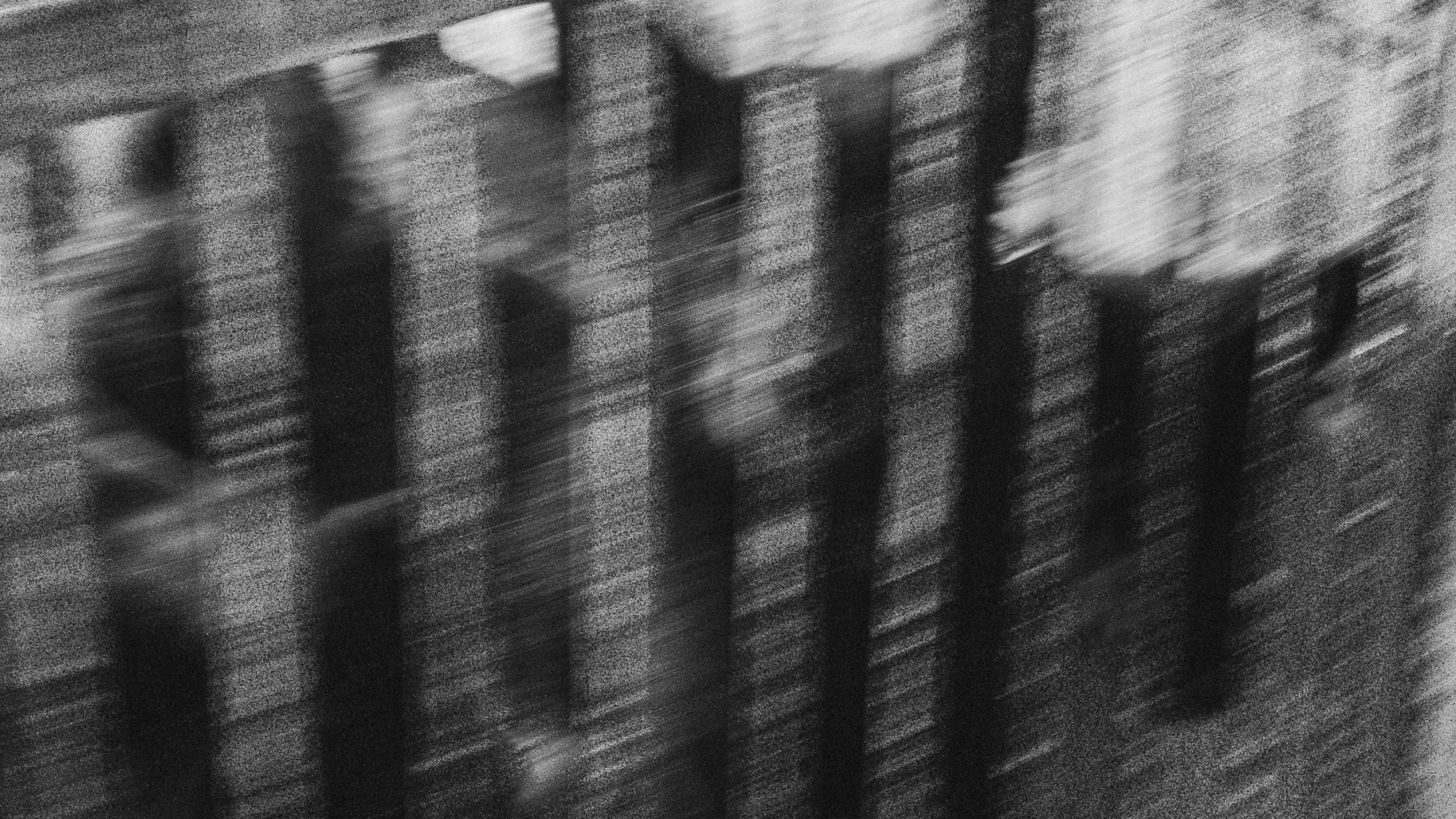 Собаки. Wordlessly