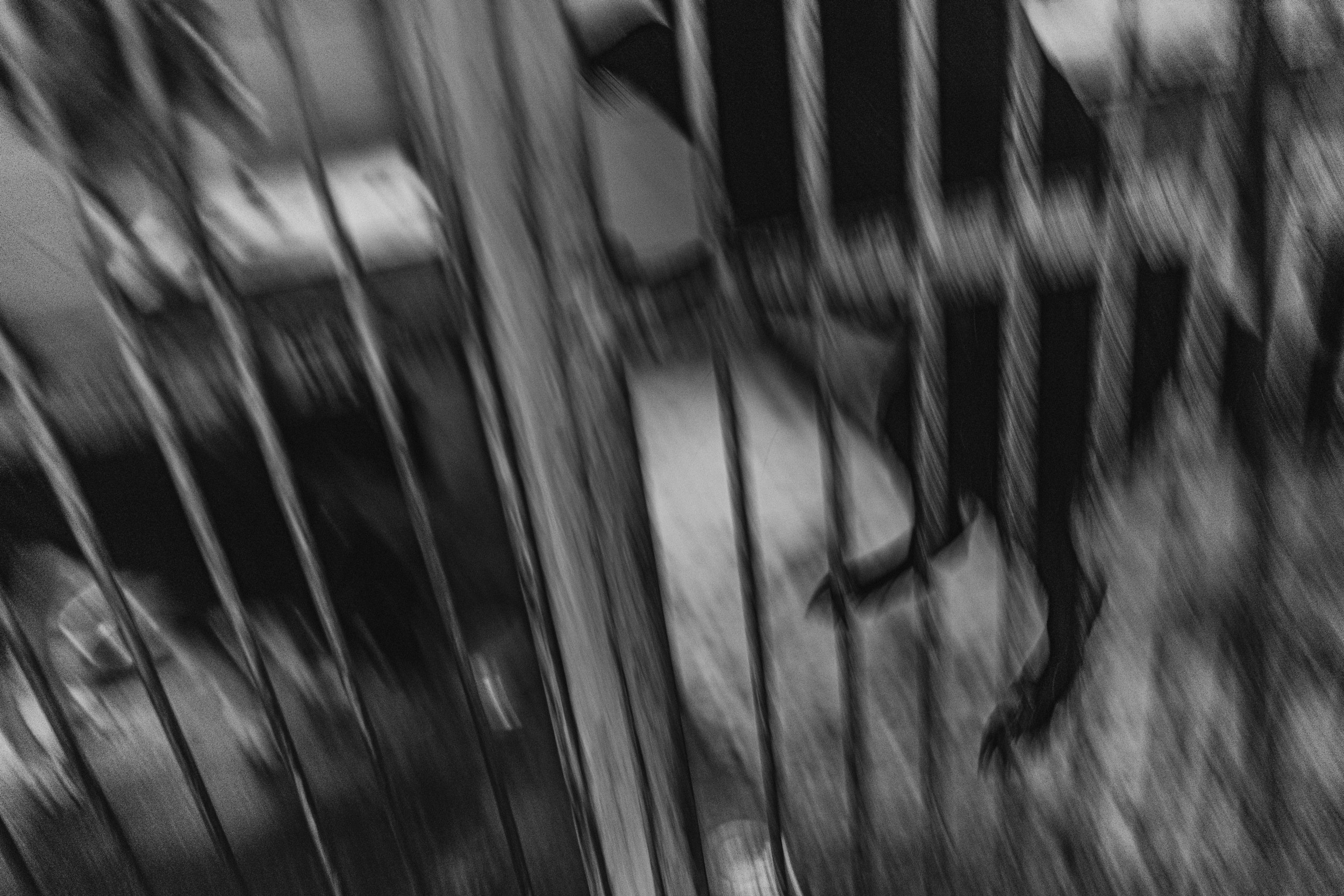 Собаки. Wordlessly