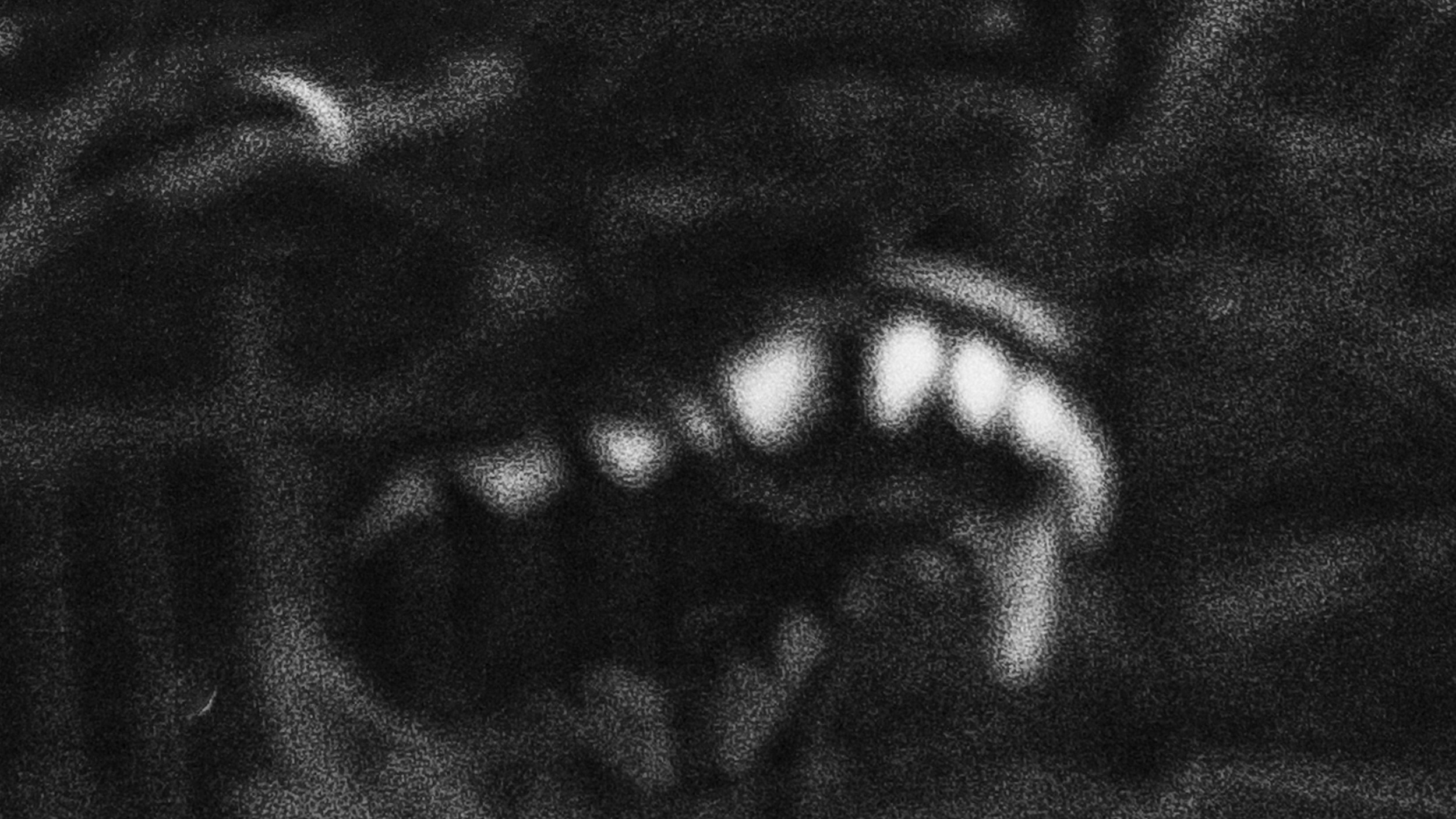 Собаки. Wordlessly