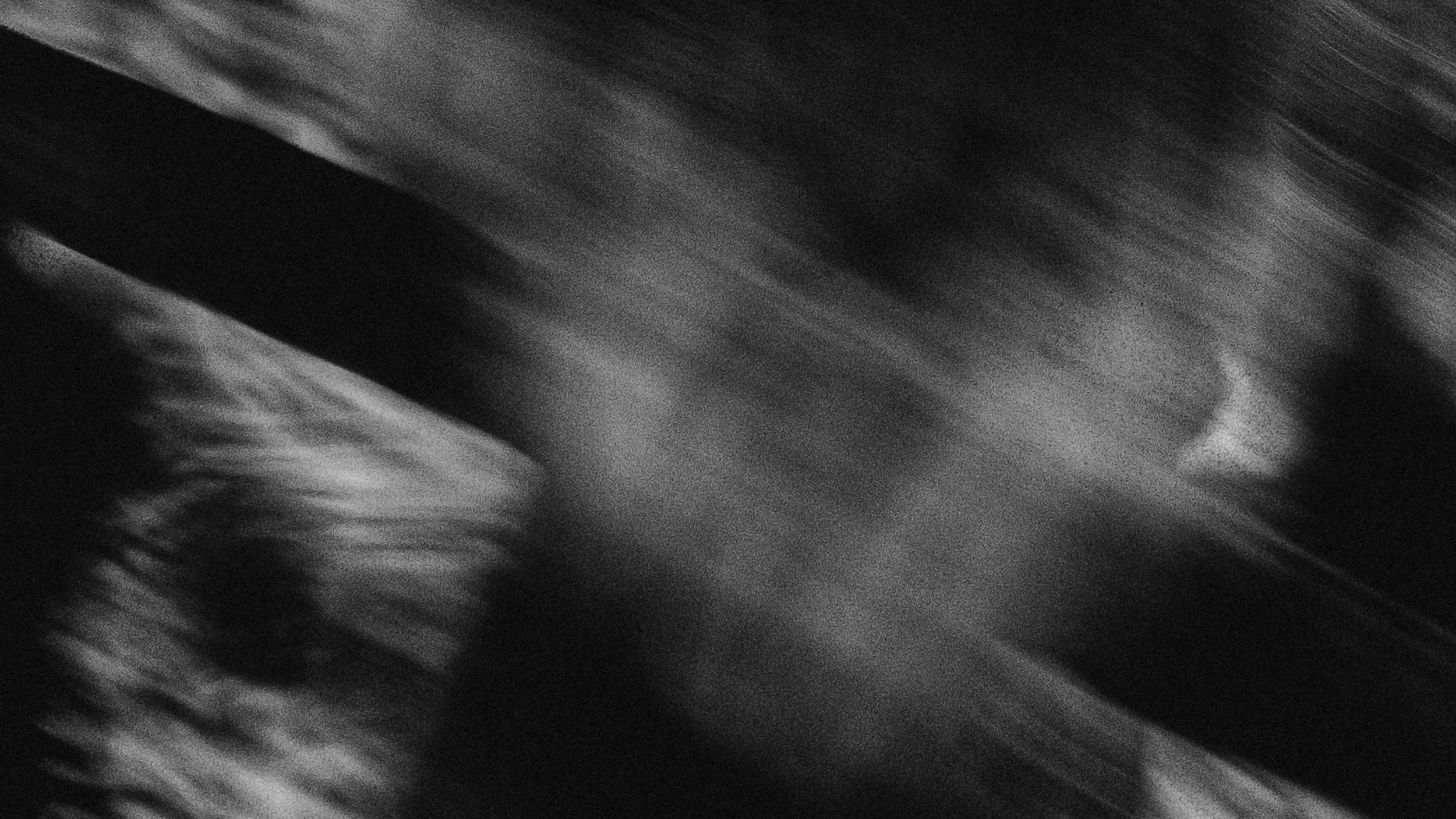 Собаки. Wordlessly