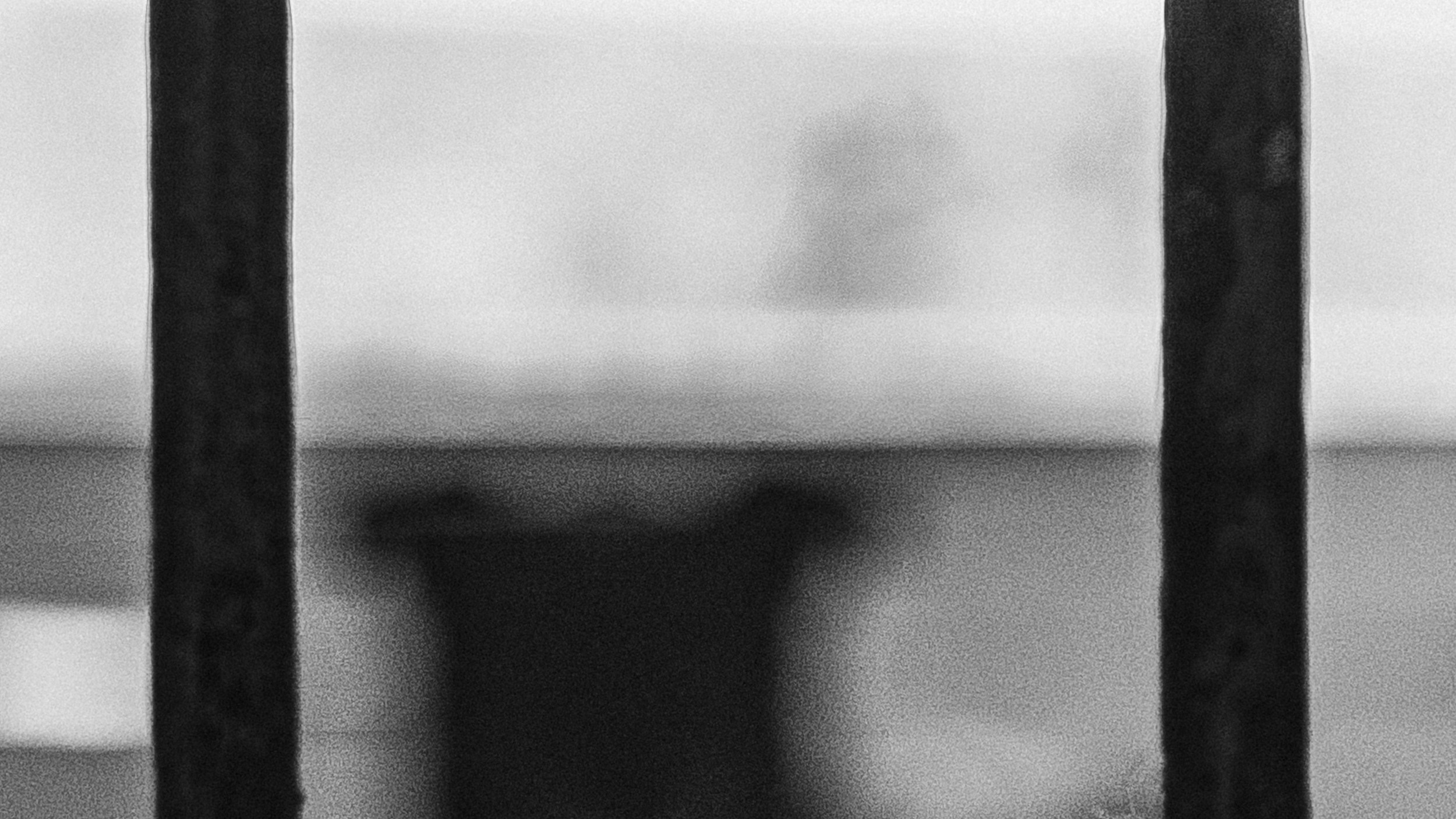 Собаки. Wordlessly