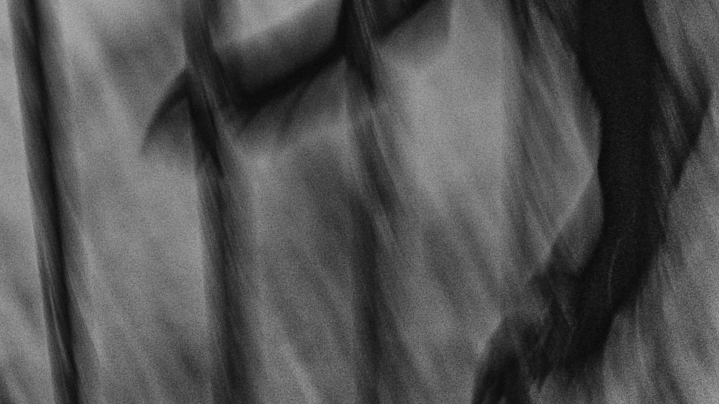 Собаки. Wordlessly