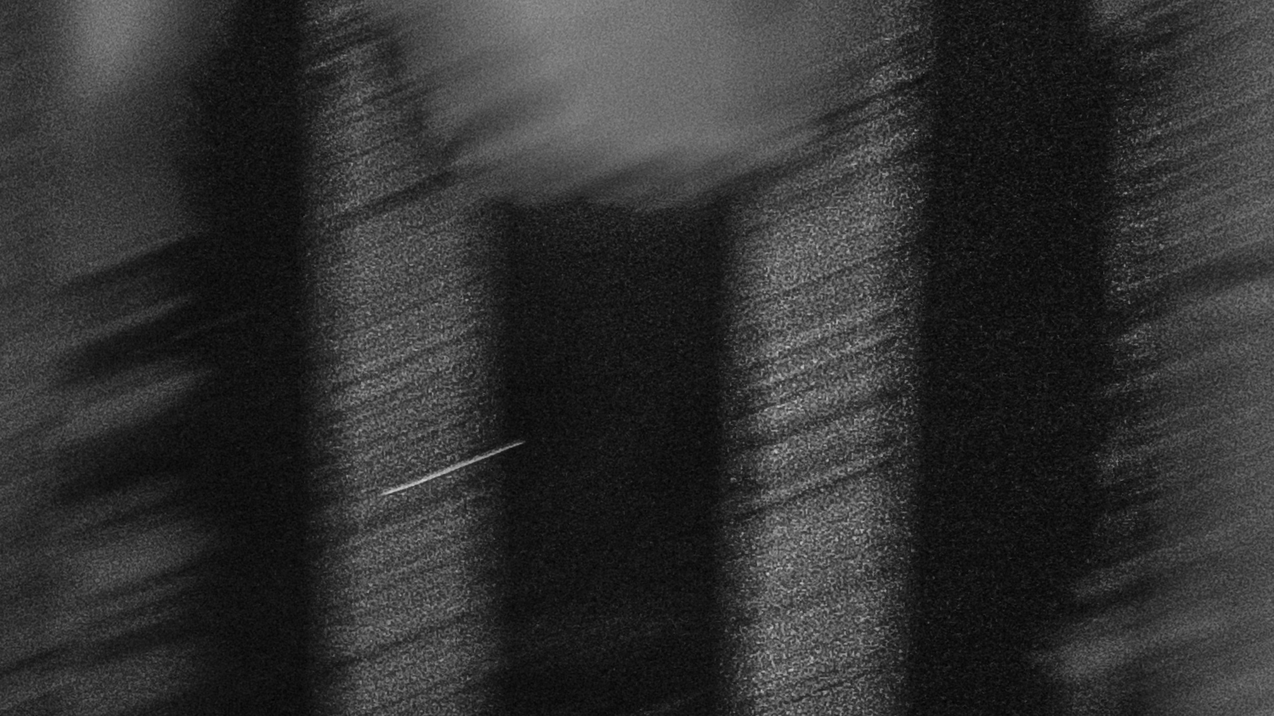 Собаки. Wordlessly