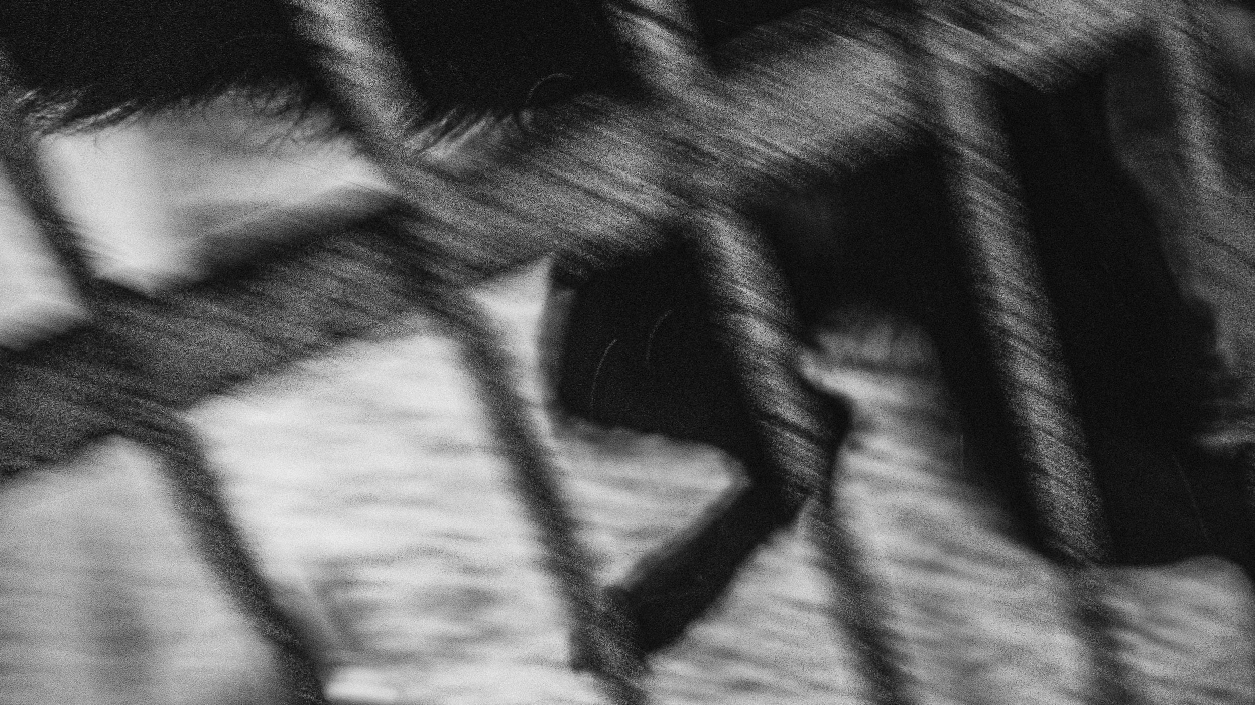 Собаки. Wordlessly