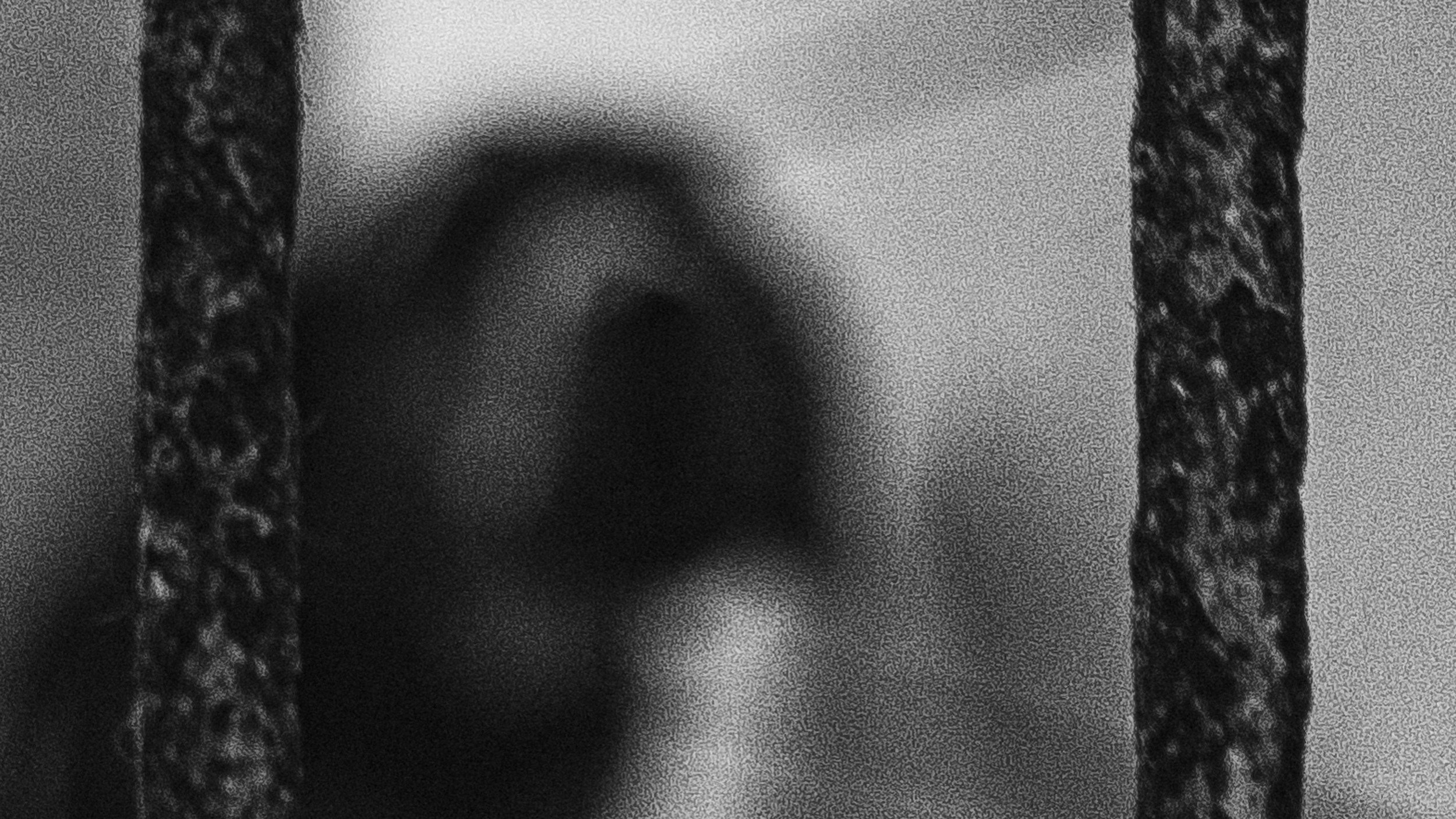 Собаки. Wordlessly