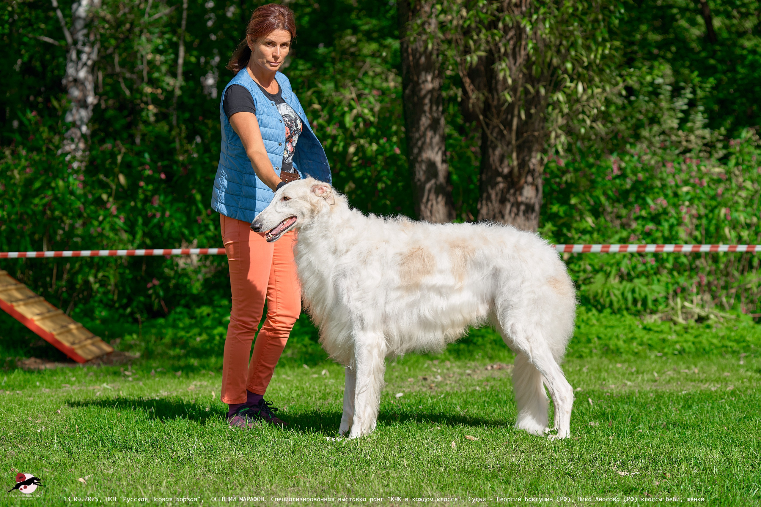 ОСЕННИЙ МАРАФОН | Специализированная выставка породы Русская Псовая Борзая ранг "КЧК в каждом классе"