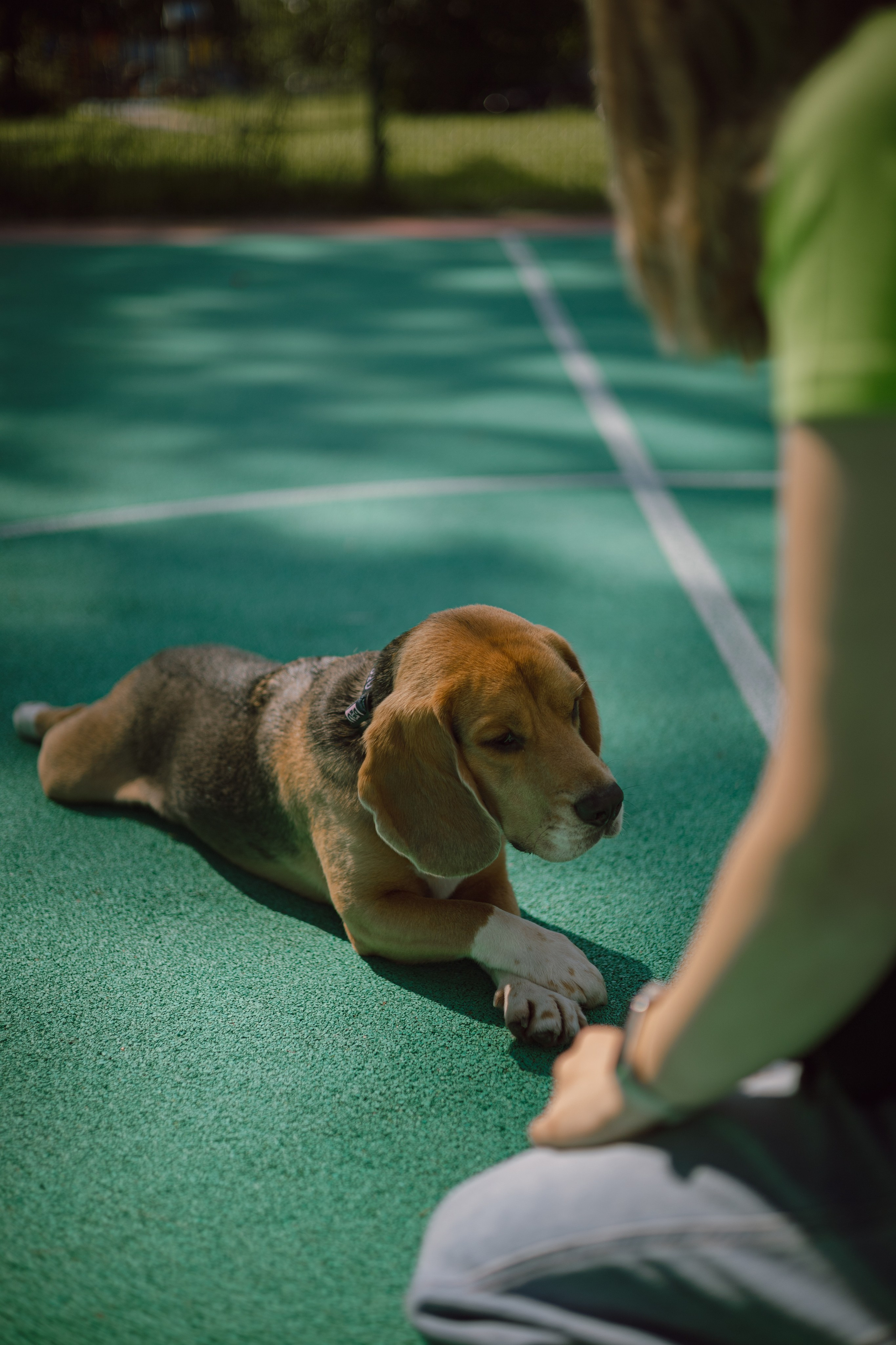 Катя и Оуджи. Фотограф — анималист •love-story•|Санкт-Петербург