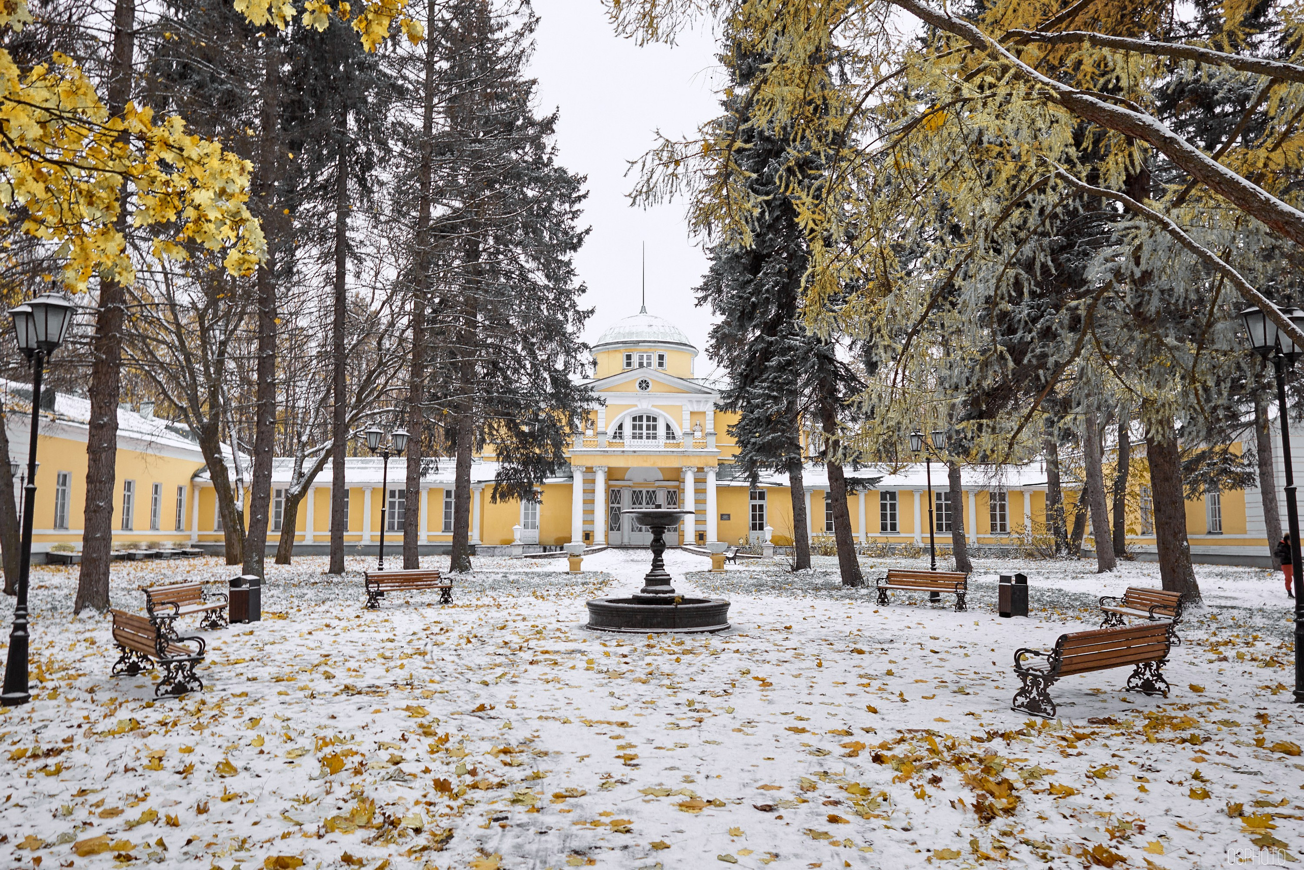 «Иду лесом». Кофе лофт в Братцево. Фотографъ Сергѣевъ. Поймать мгновеніе