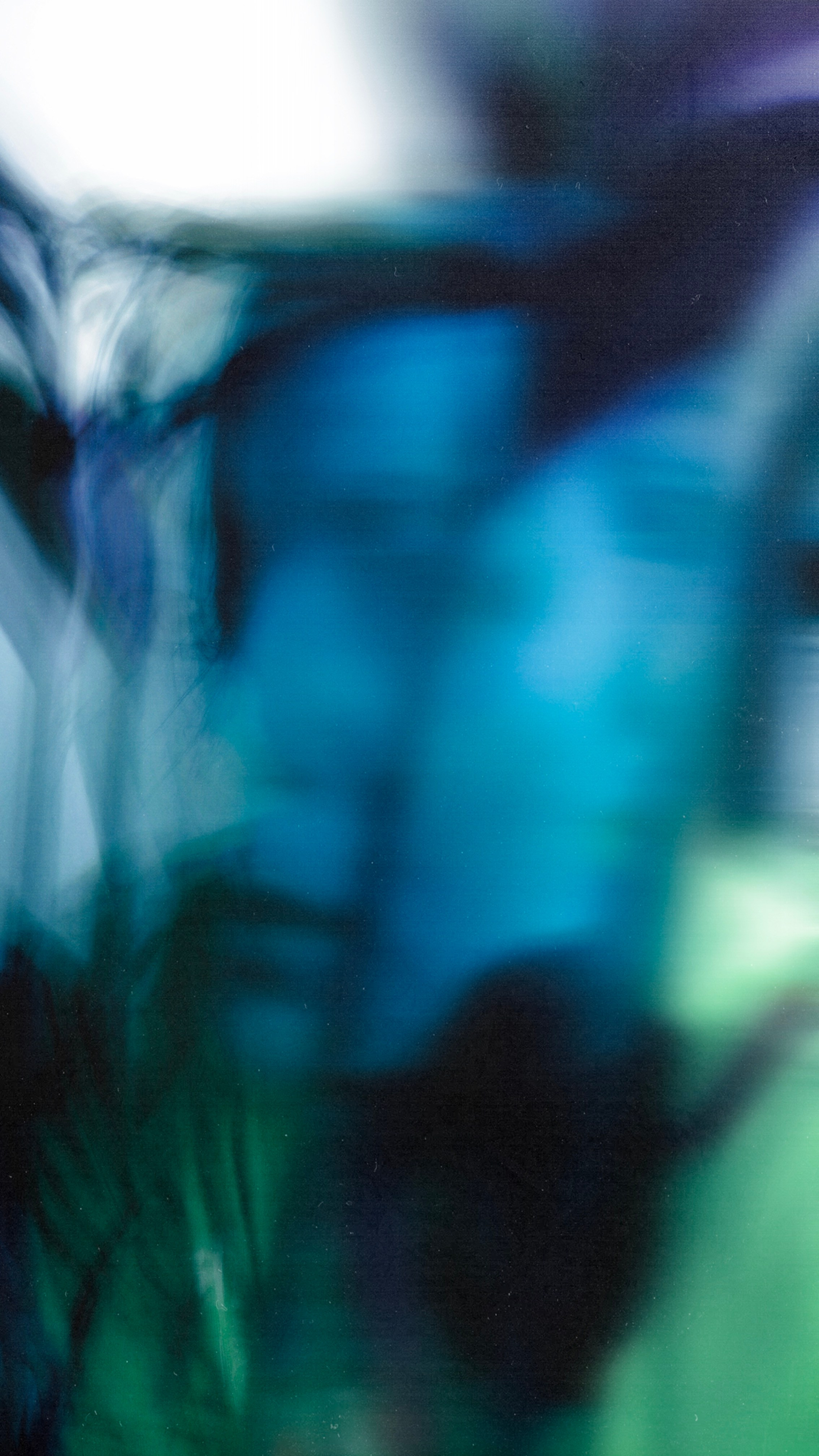 Ширяева Ольга