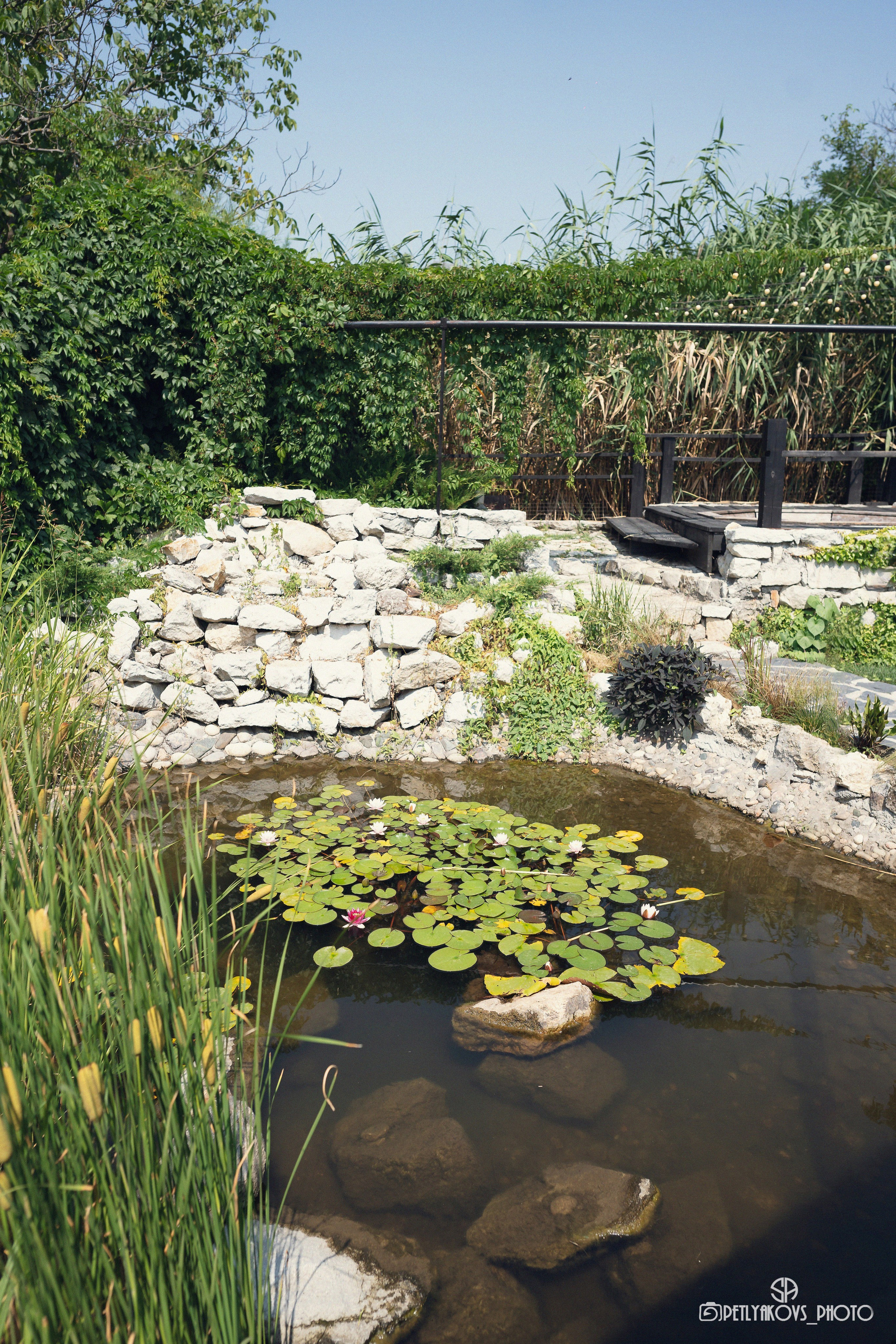 Фотостудии КМВ Пятигорск Ессентуки Кисловодск. Фотограф, видеограф Пятигорск, Ставрополь, Ессентуки, Petlyakovs_photo