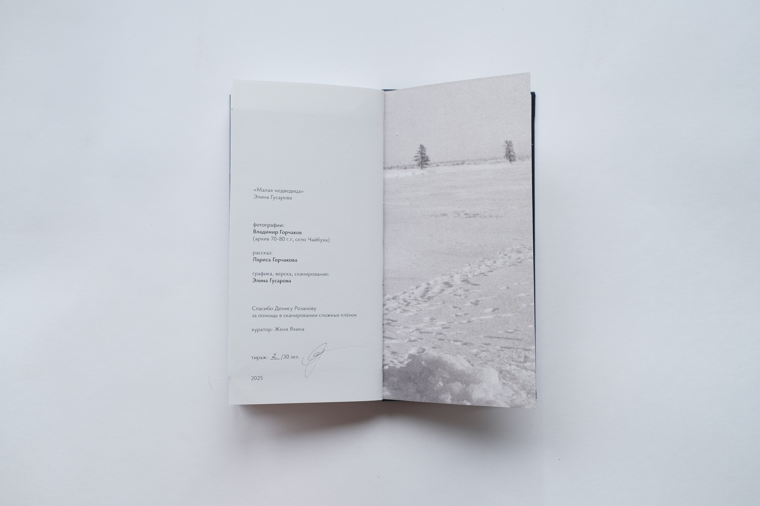 Малая медведица. Элина Гусарова