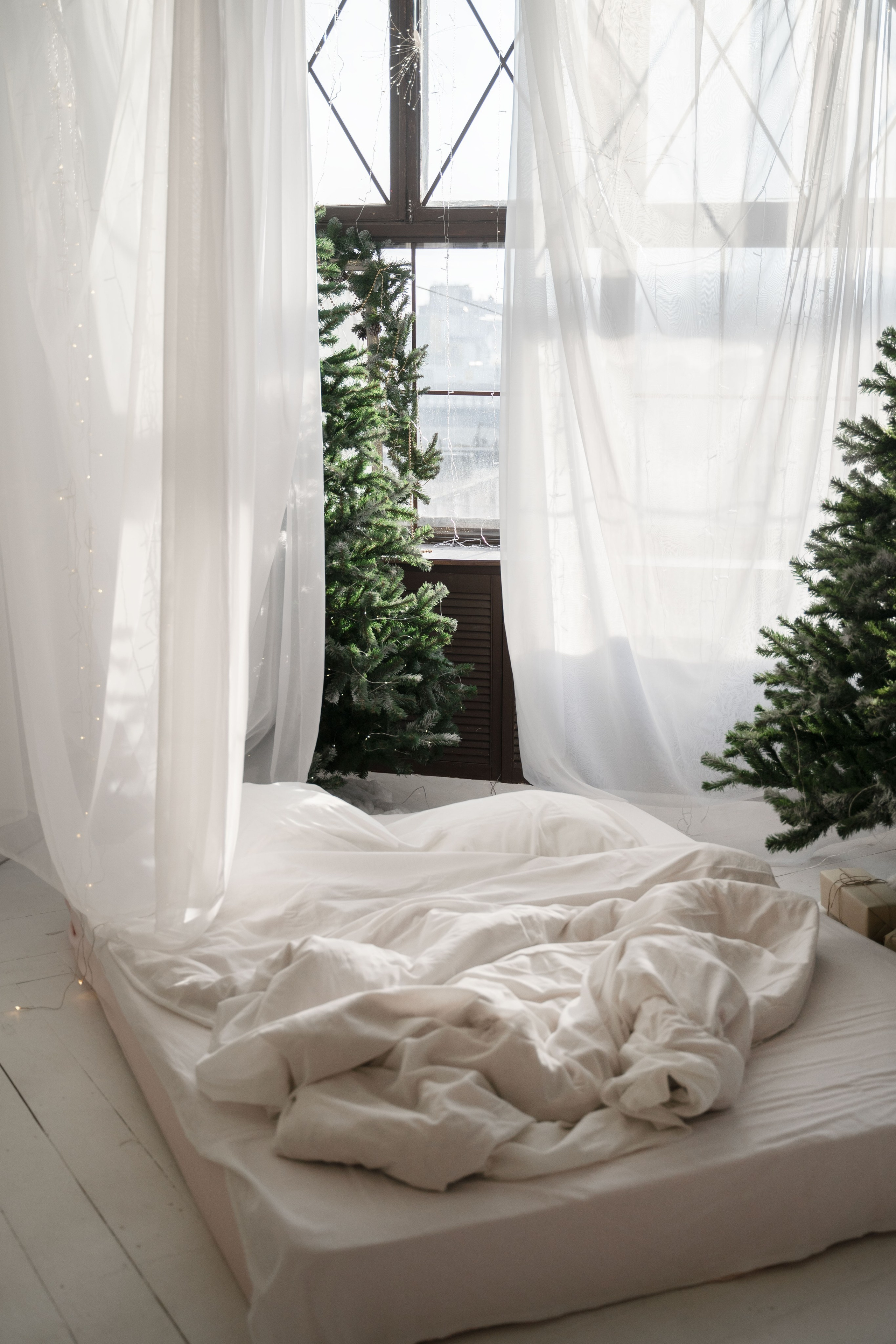 Фотостудия. Фотограф Вера Зверуго в Орле