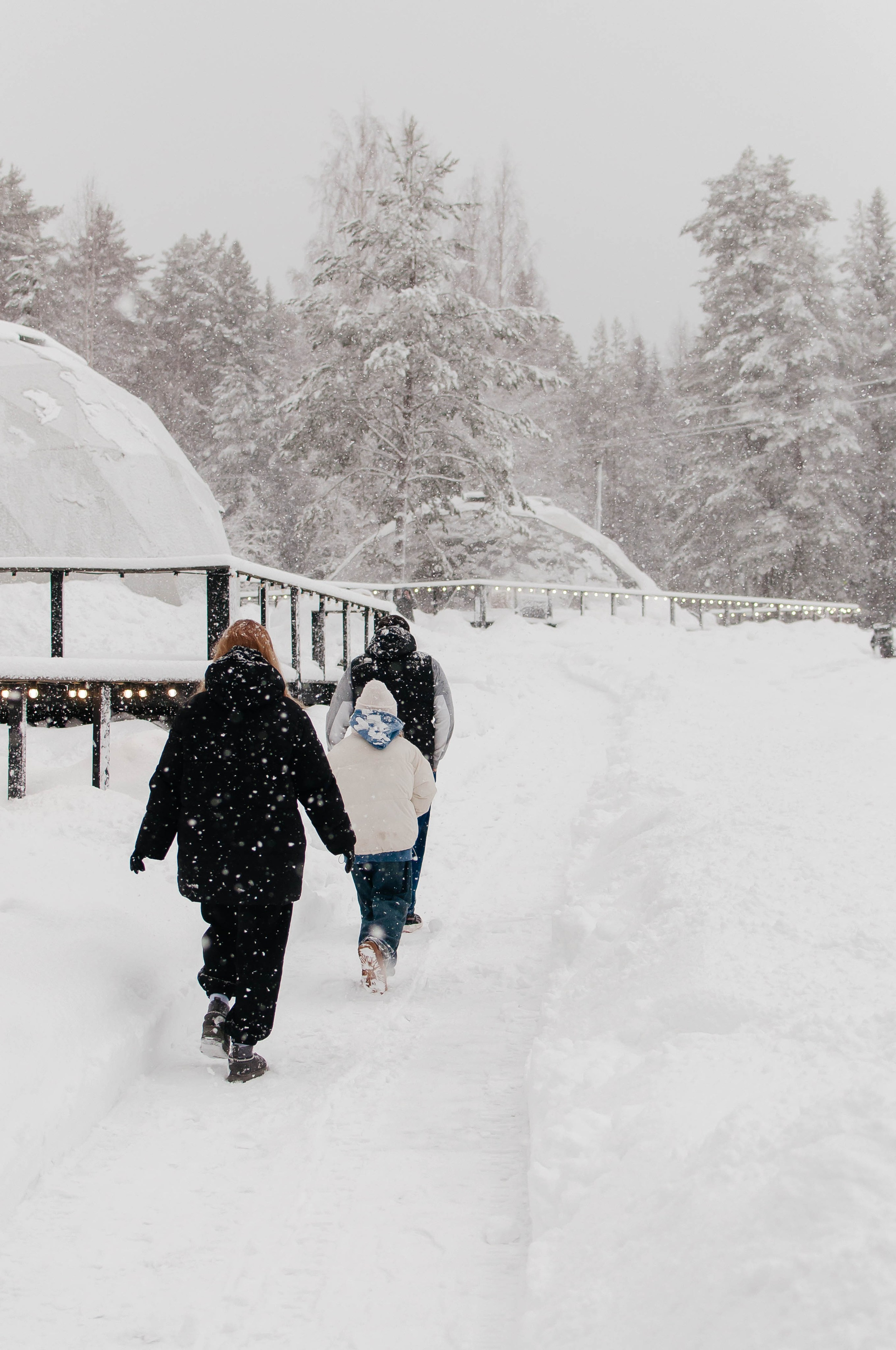 Ёлки на горке. Семейный фотограф из Петрозаводска, Карелия