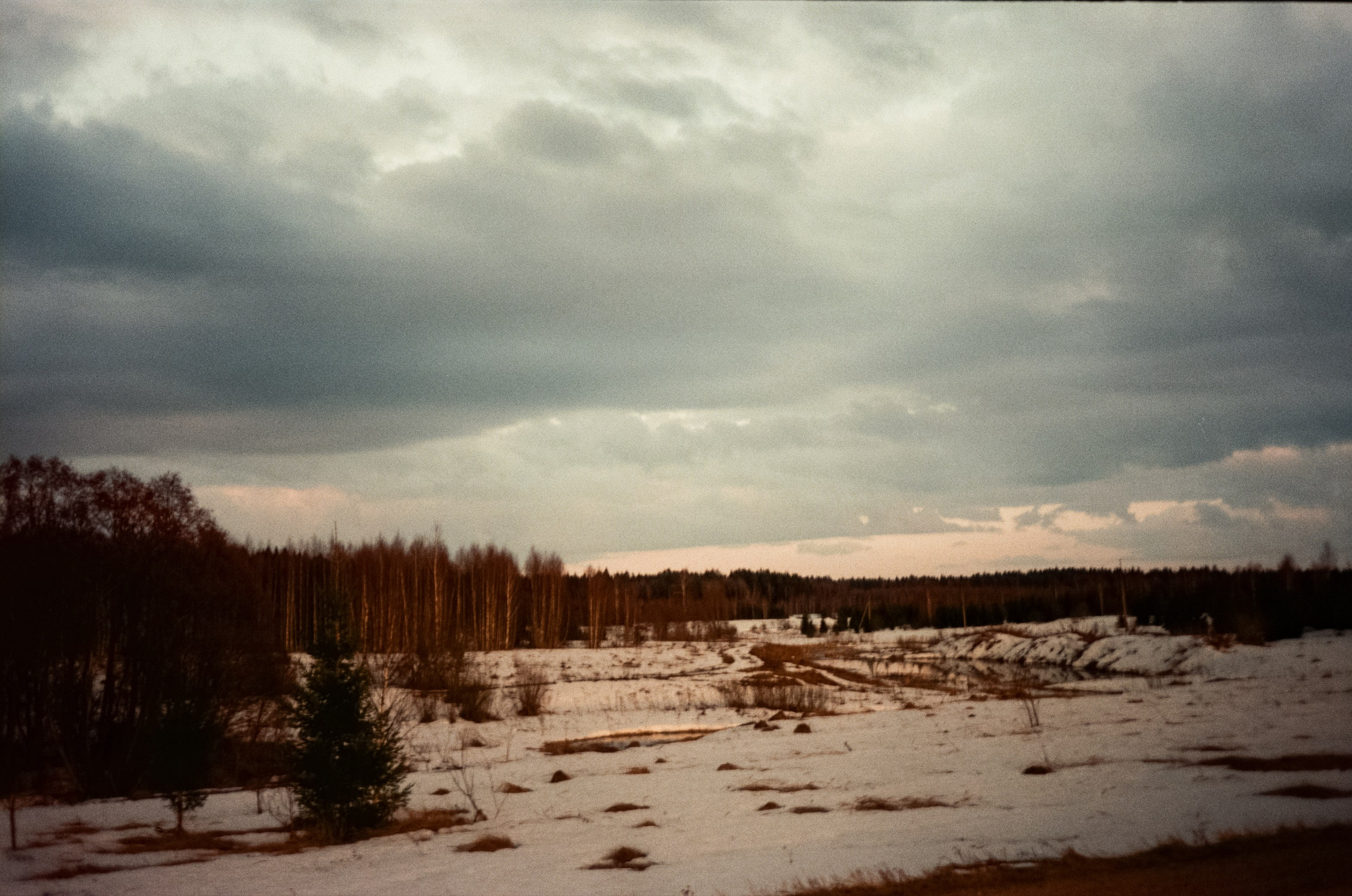 Ricoh FF-300D / Fujifilm X-tra 400 (просрочка) / Лукино март 2024 г