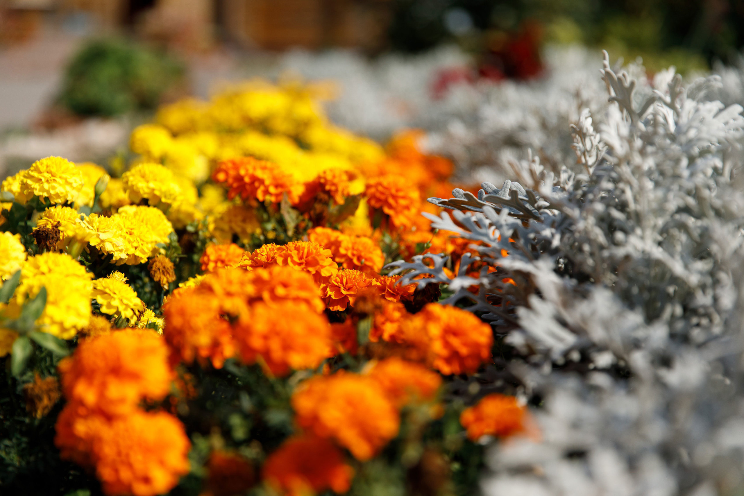 Фотограф на крещение в Сызрани. Свадебный, семейный и школьный фотограф в Сызрани Максим Баталов