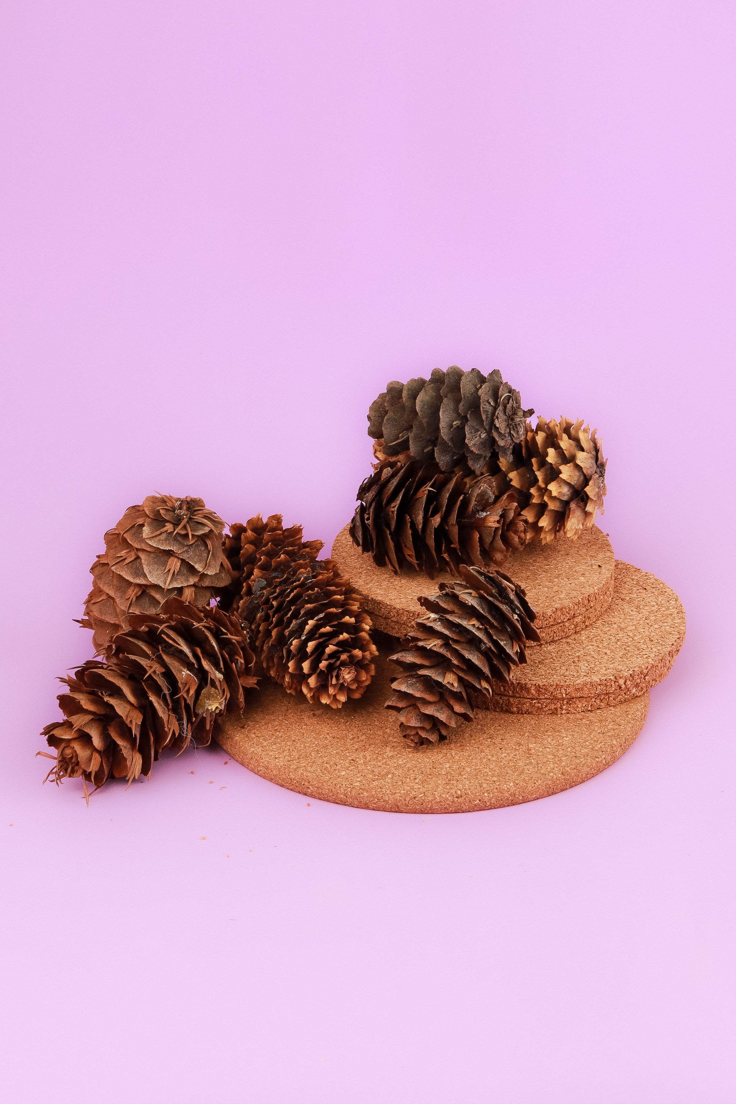 Реквизит и Оборудование