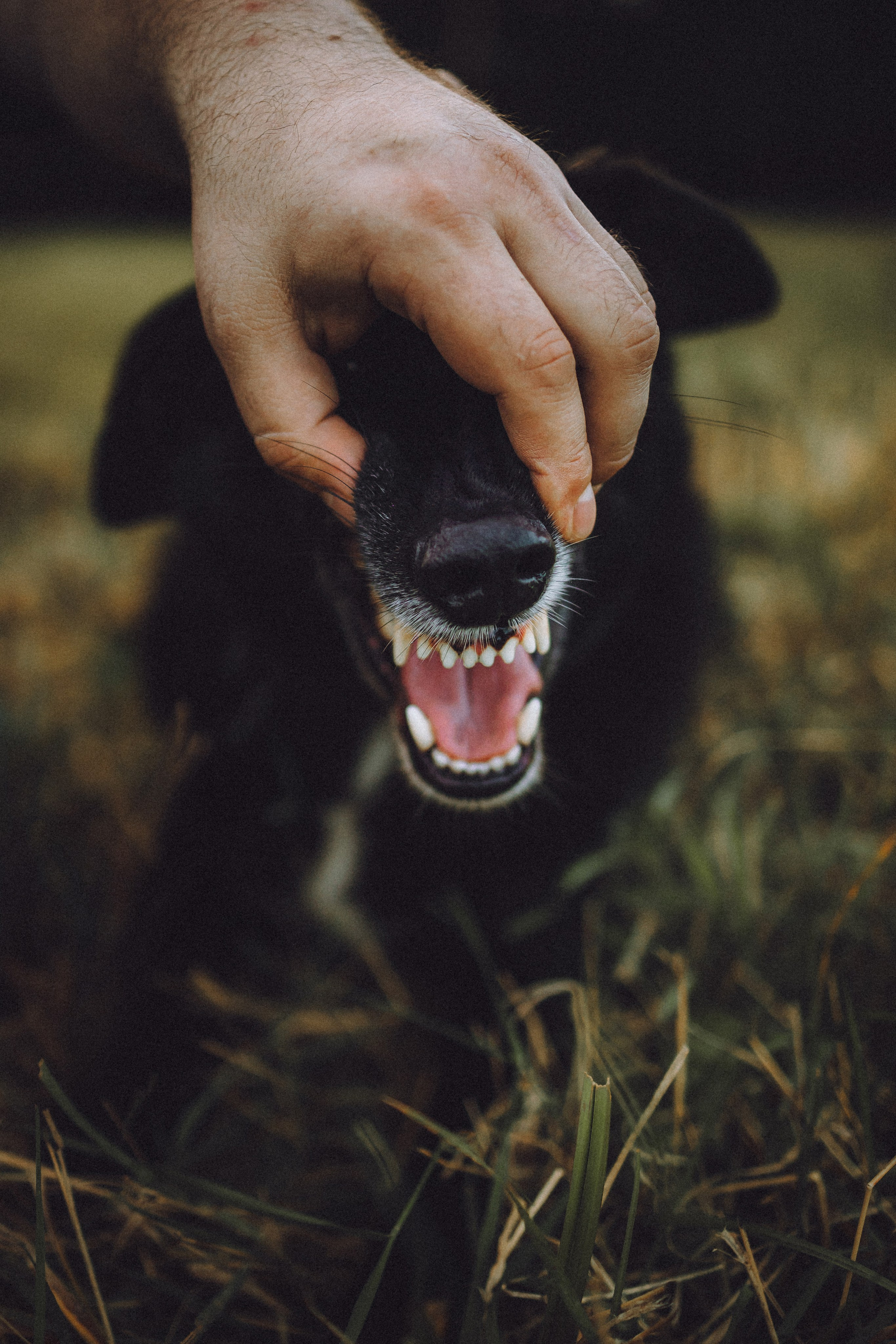 Лучшего времени, чем сейчас — не будет