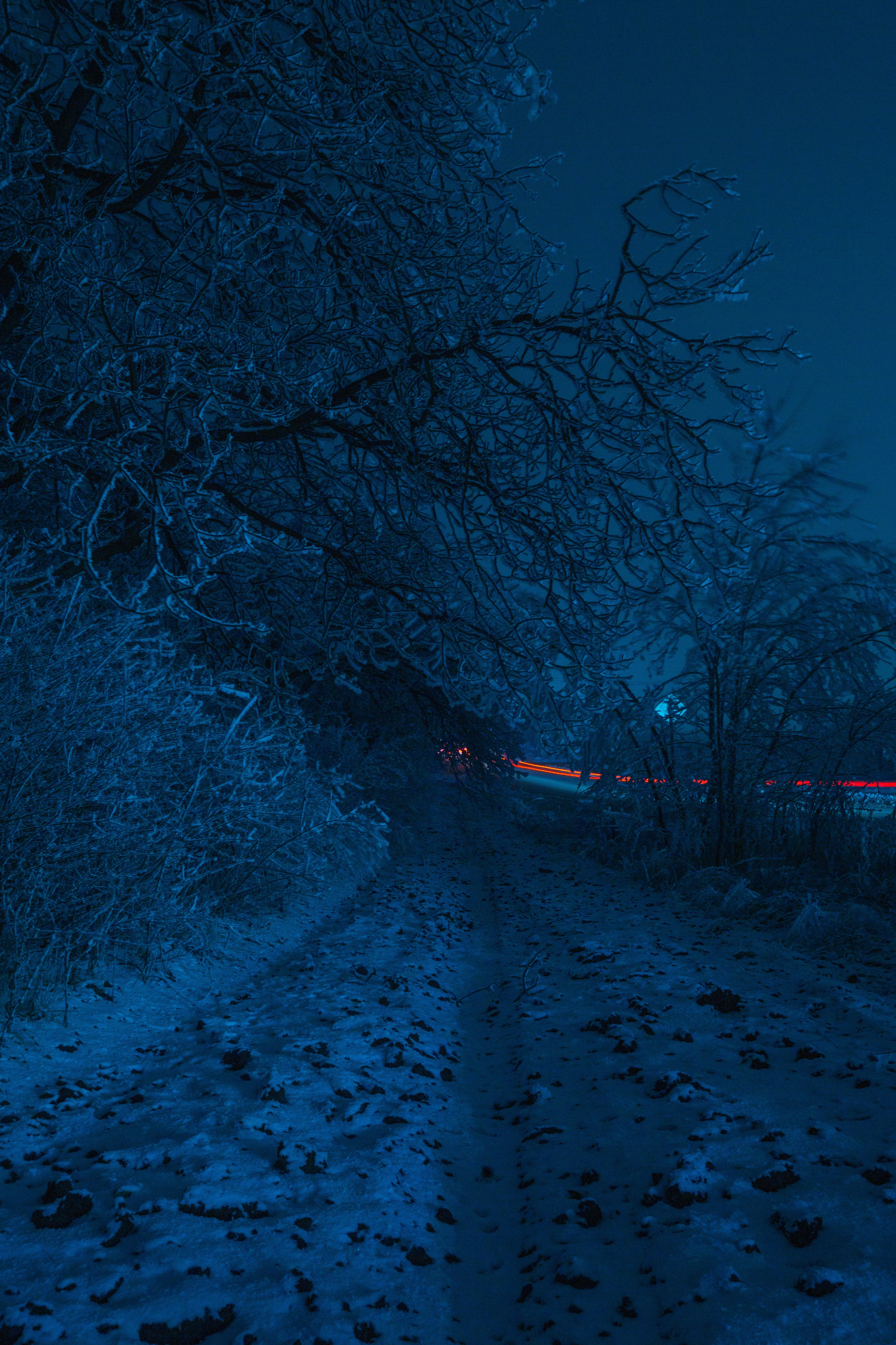 Пейзажи 2. Фотограф Санкт-Петербург, Москва