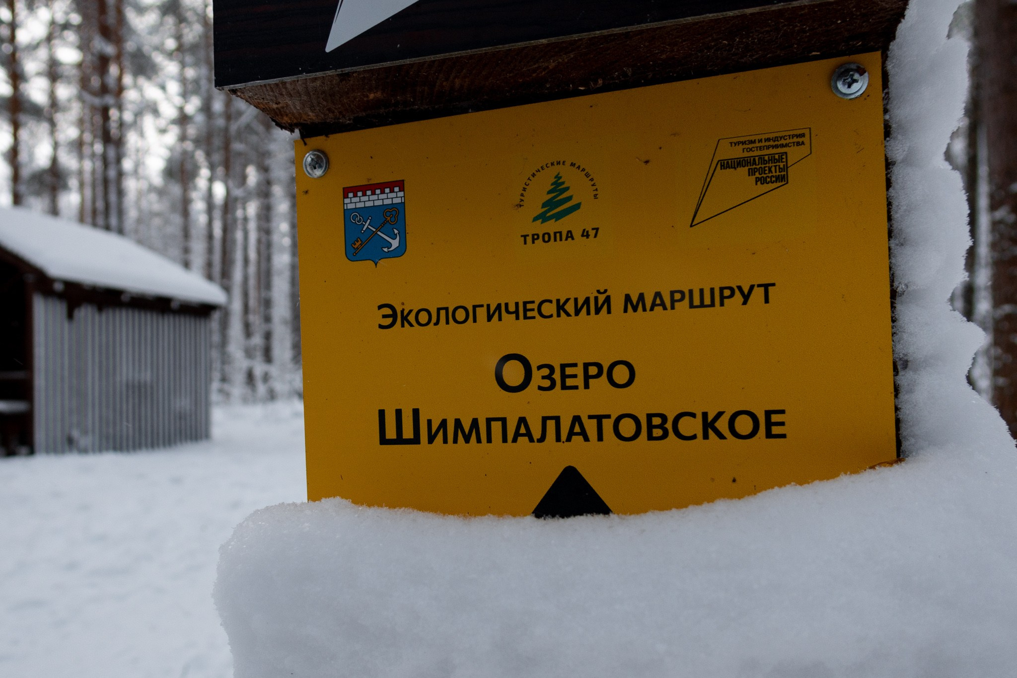 Новогодняя поездка в Санкт-Петербург. Павел Шарапов | Фотограф | Москва