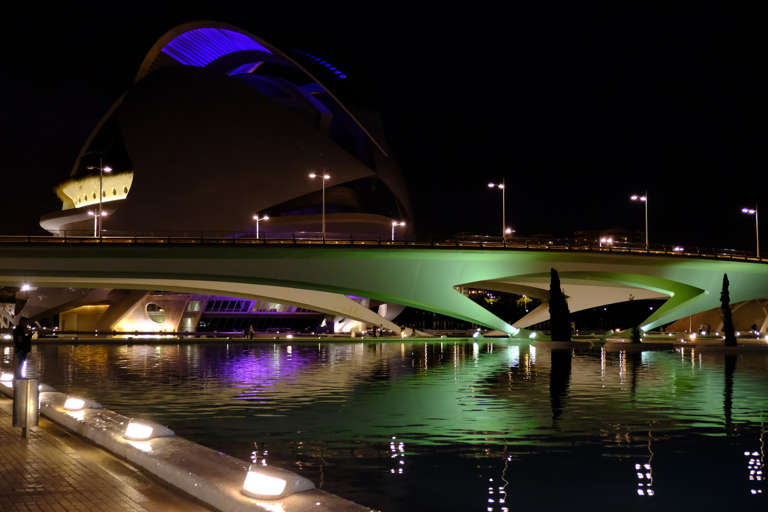Visita guiada con fotos de la Ciudad de las Artes y las Ciencias. Novikov Mikhail, fotógrafo de Valencia
