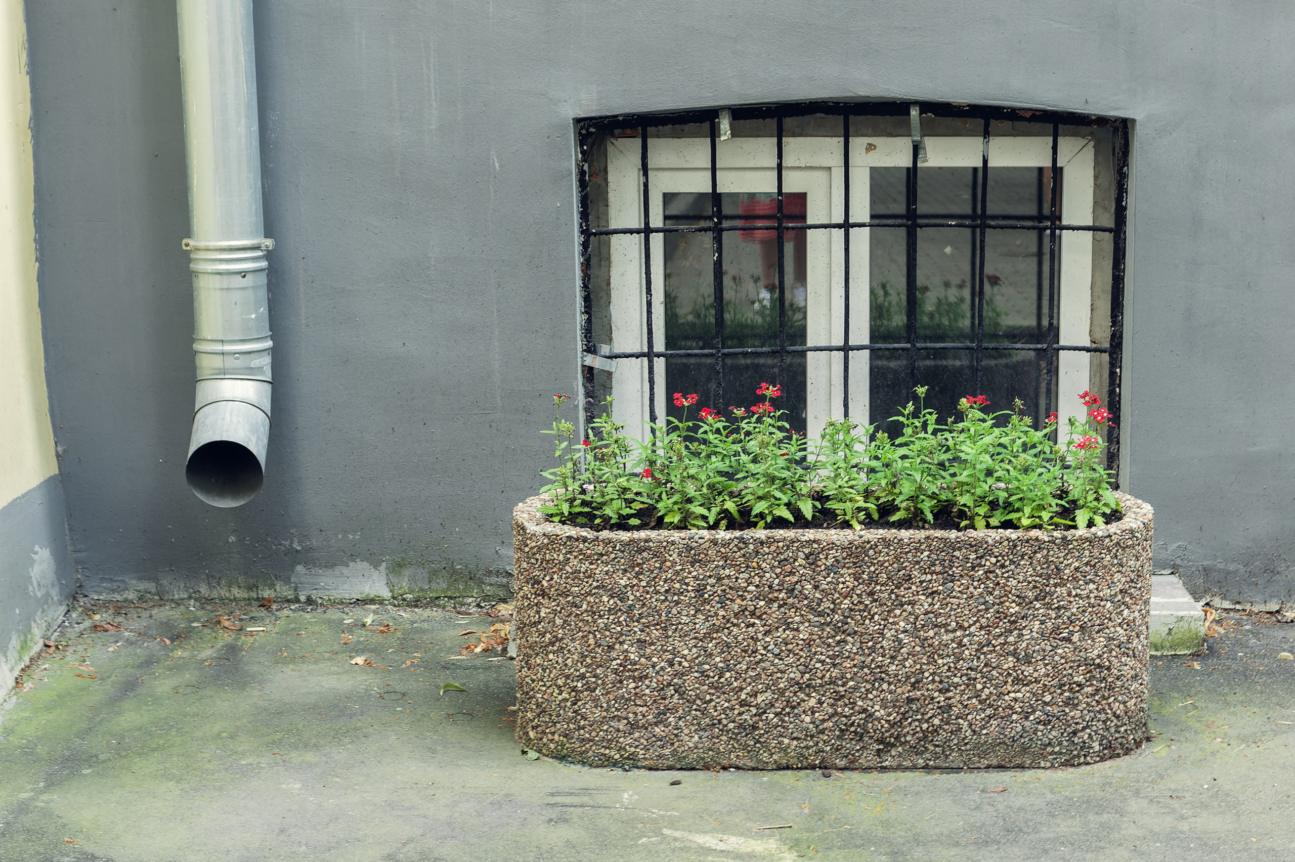 Фотограф на экскурсию Москва и Московская область