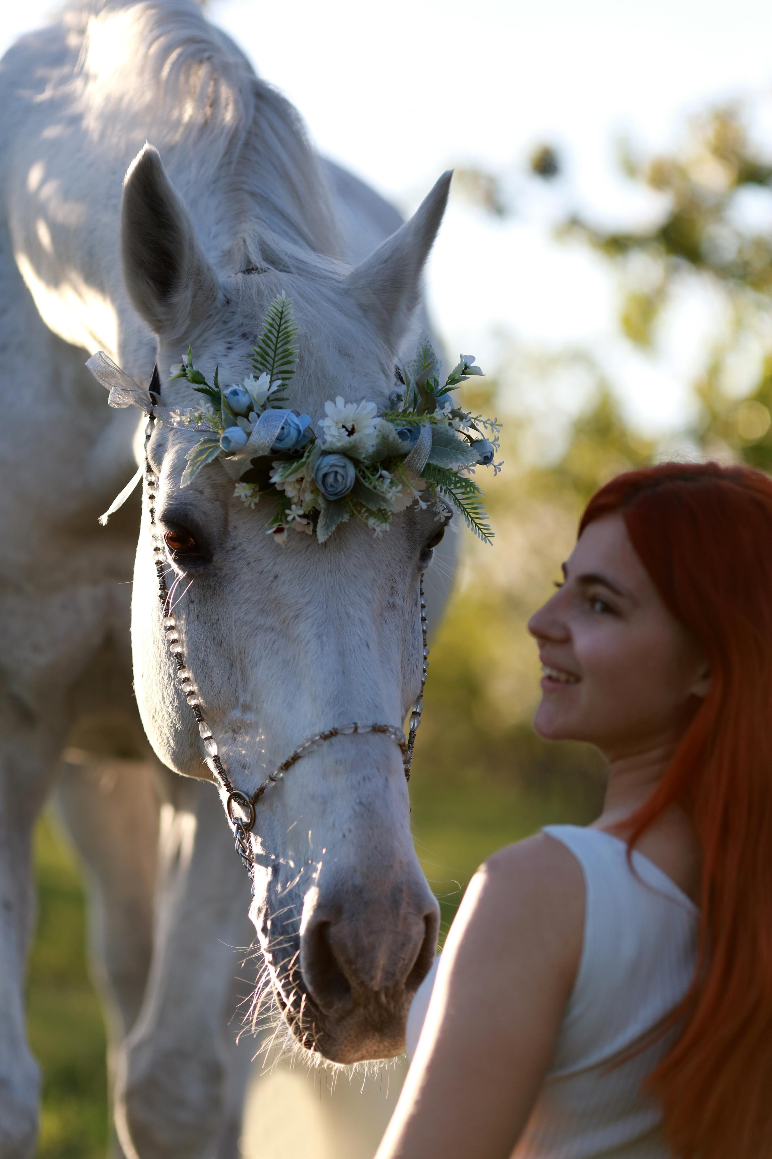 фотосессия с лошадьми