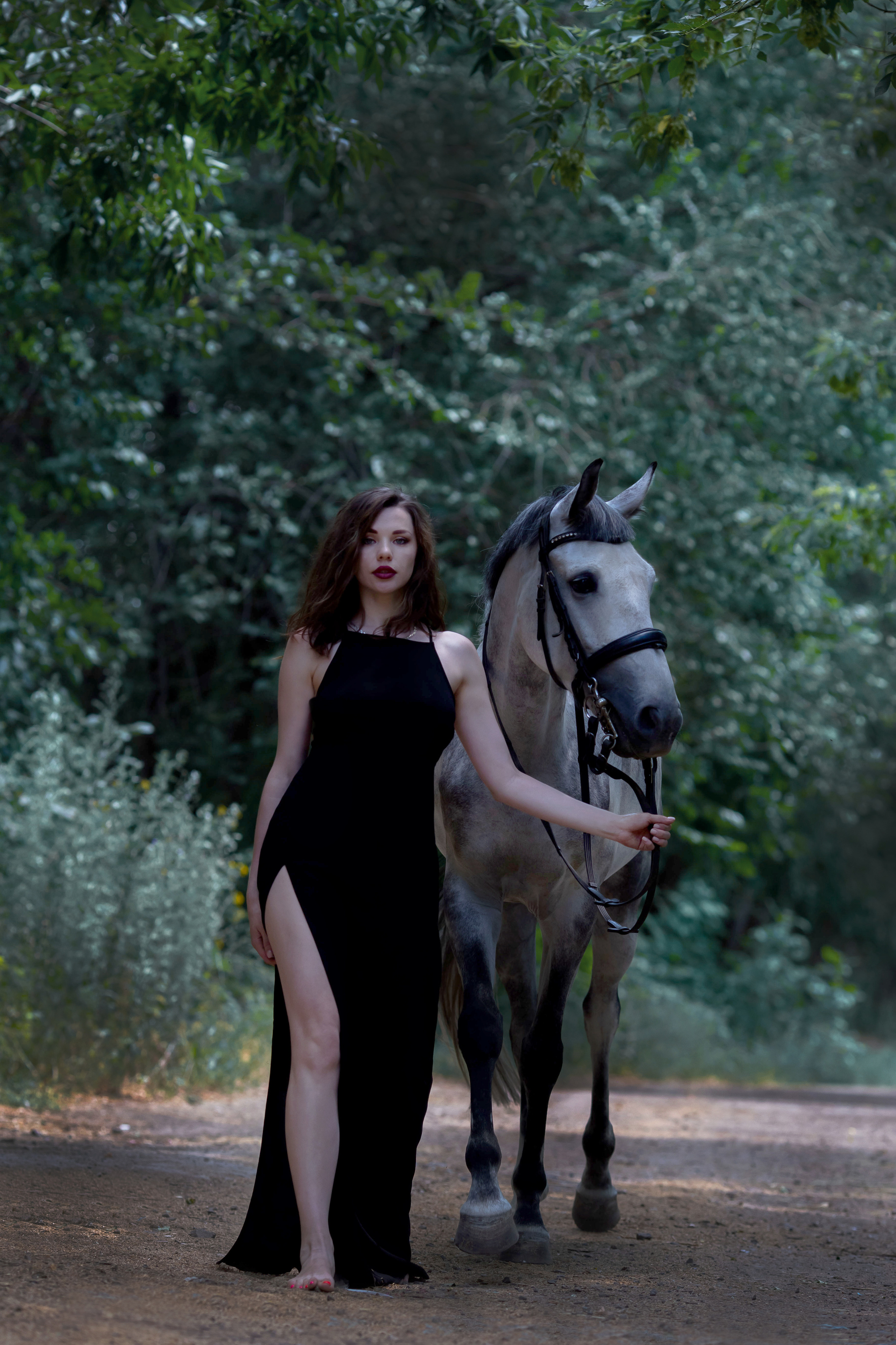 фотосессия с лошадьми