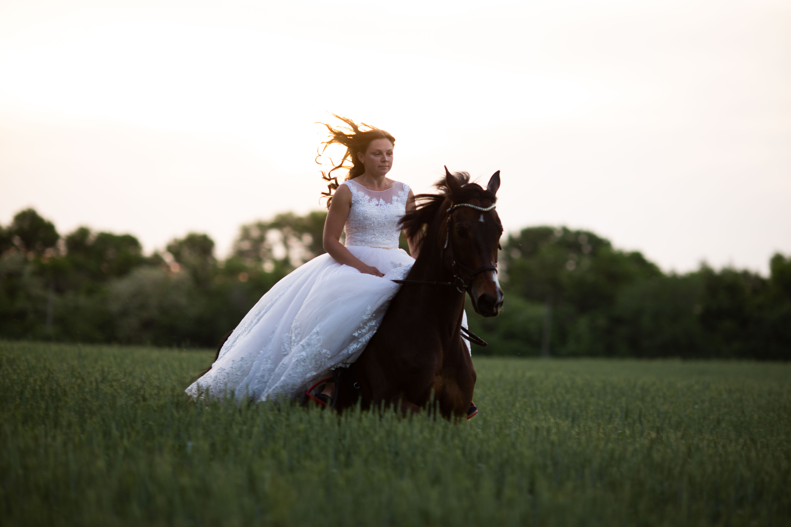 фотосессия с лошадьми