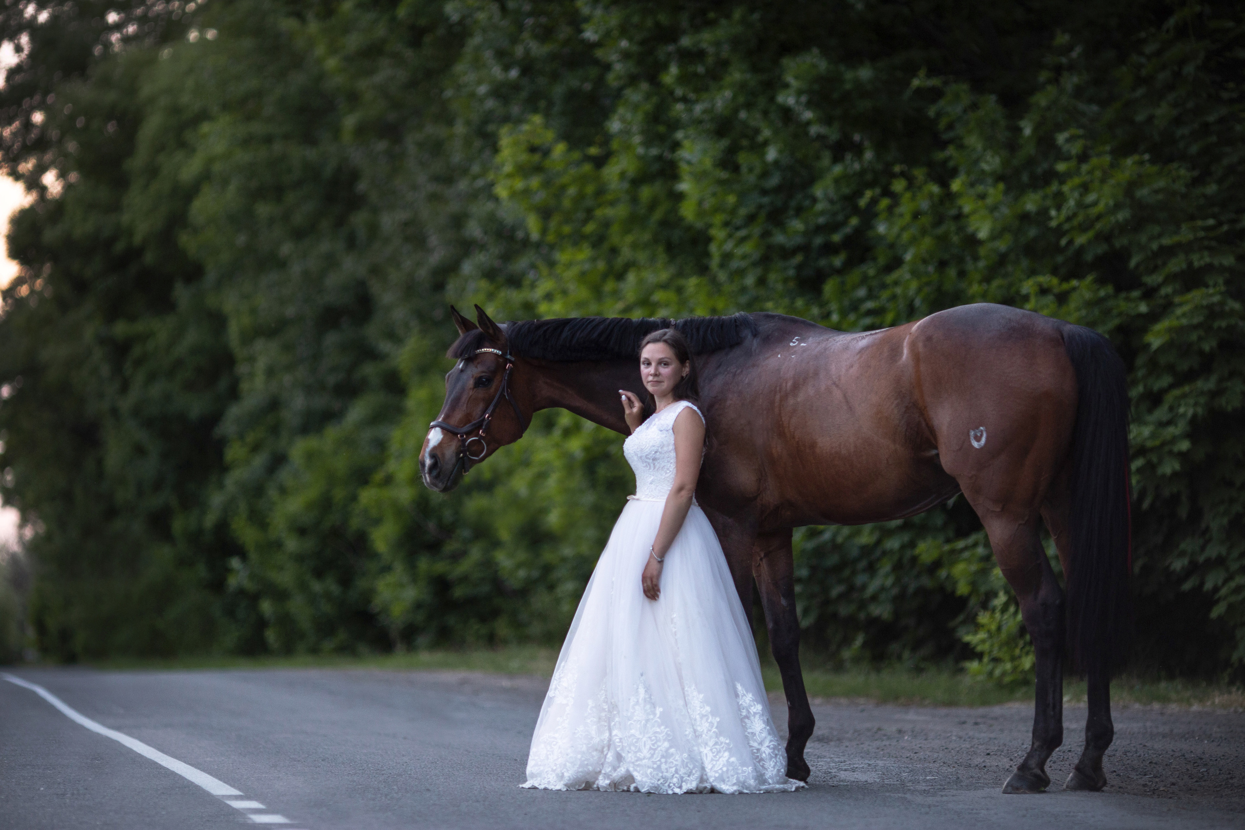 фотосессия с лошадьми