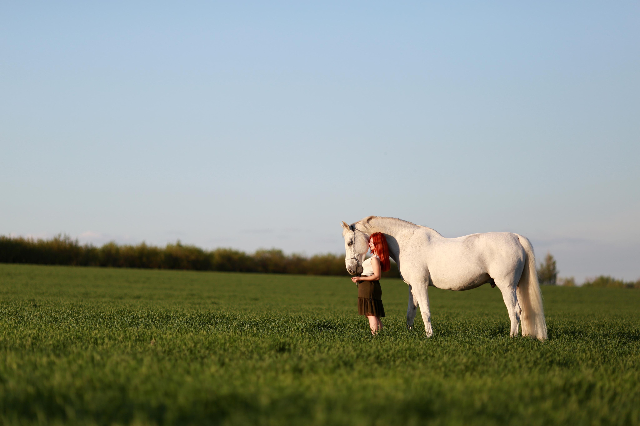 фотосессия с лошадьми