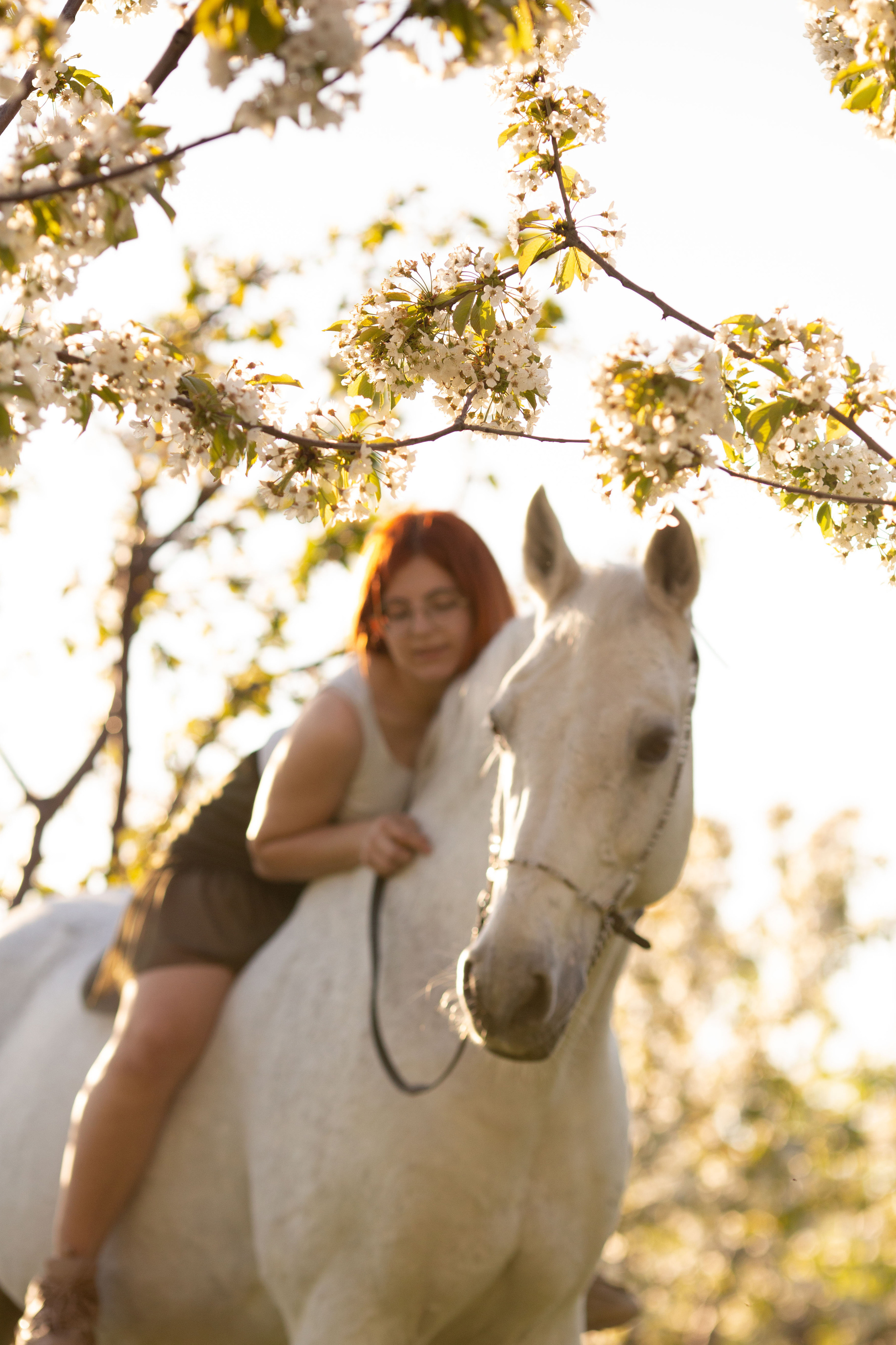 фотосессия с лошадьми