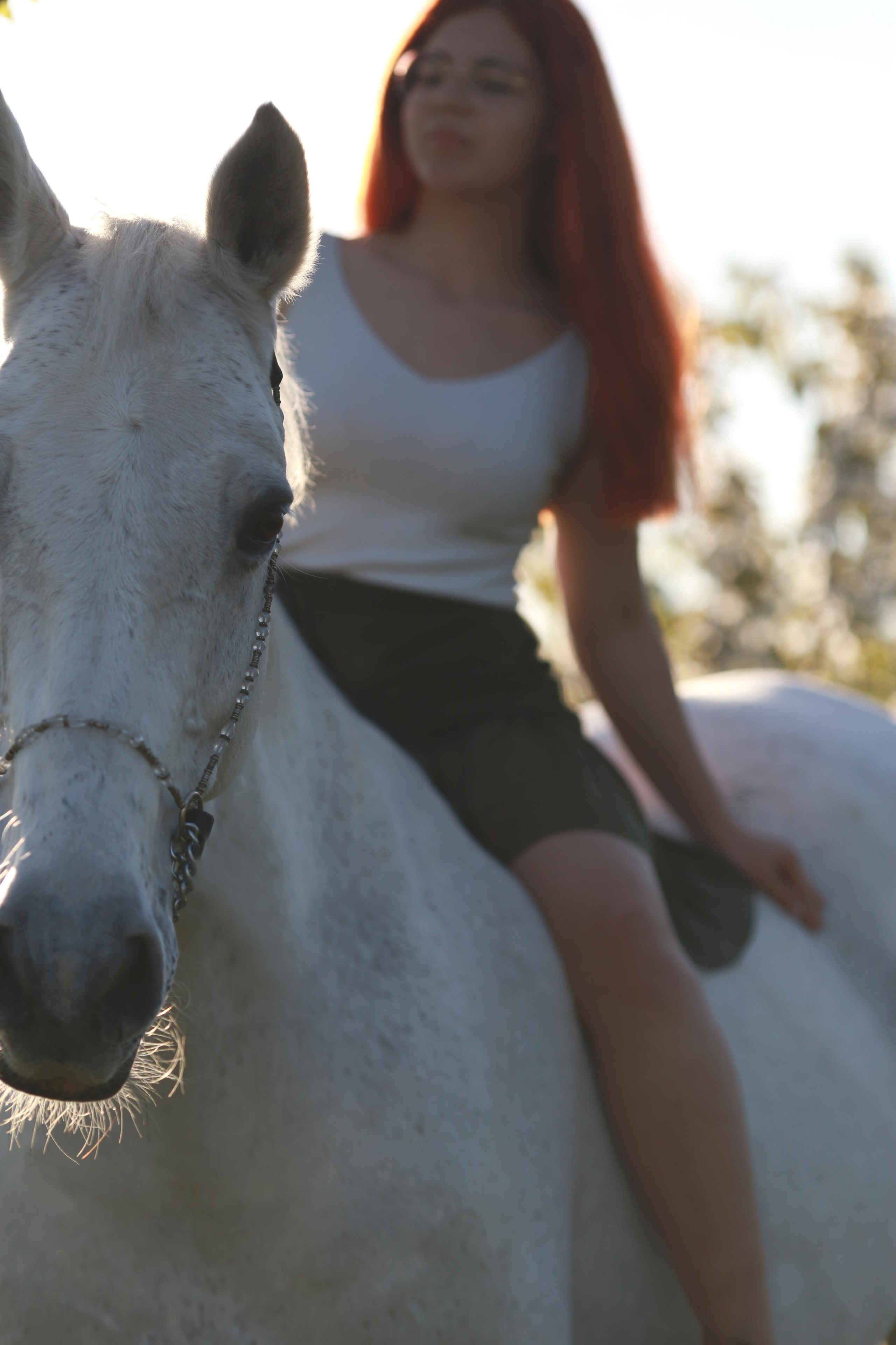 фотосессия с лошадьми