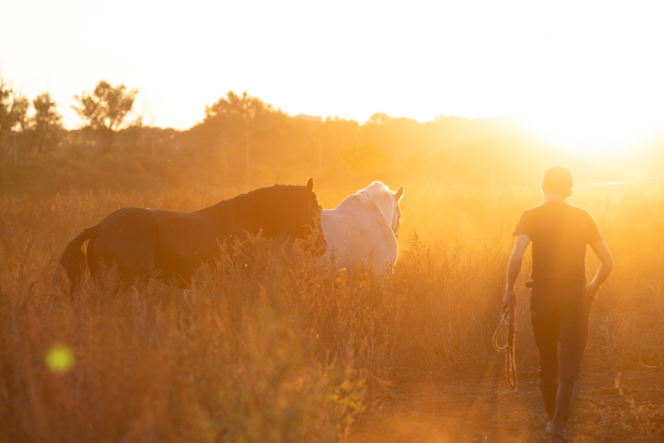Прайс. Фотограф Юлия Гросс
